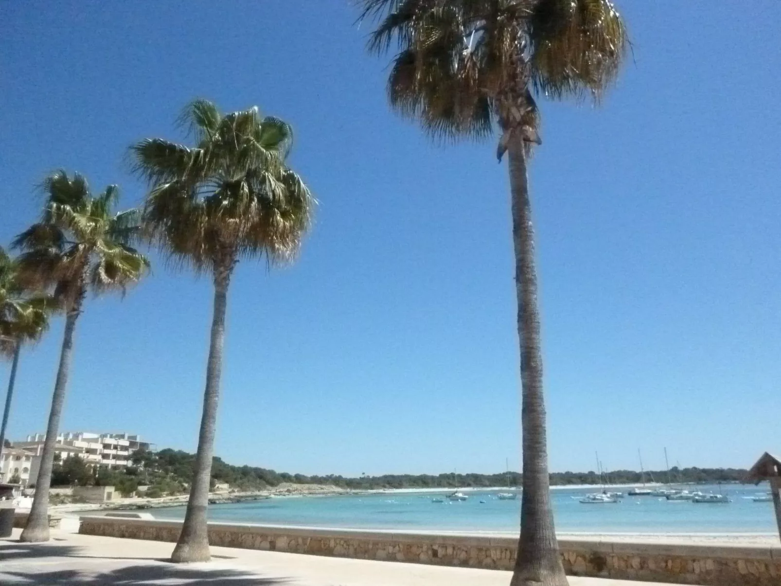 Apartment Caballito-Image-tags.info