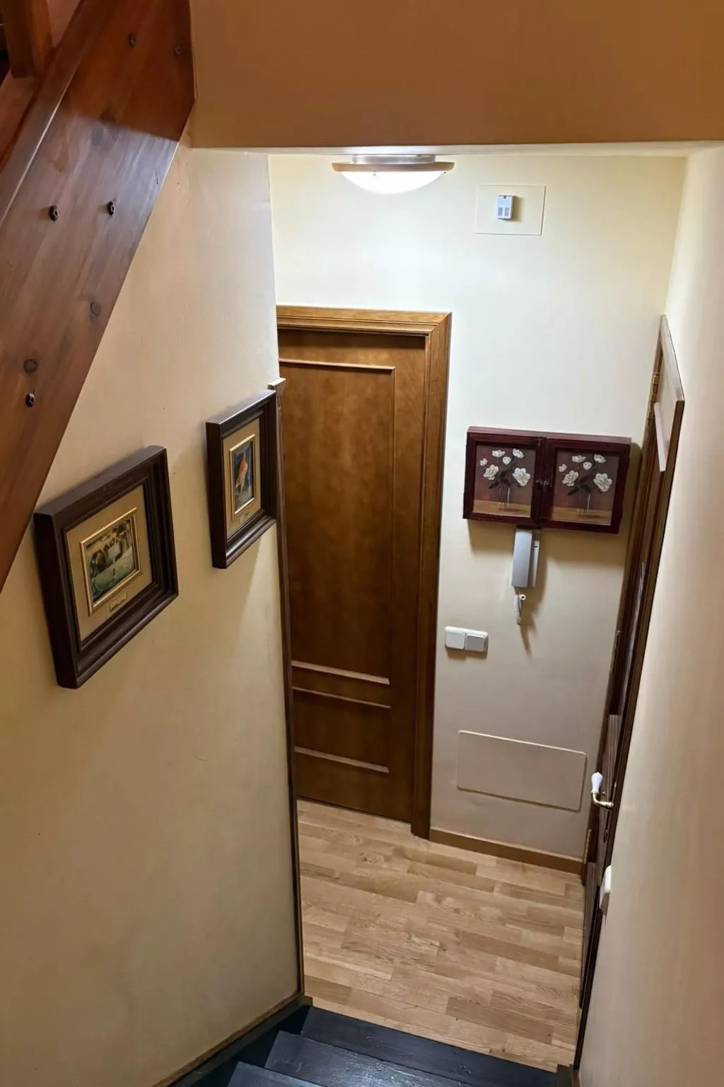 Triplex Erta 8 mit Dachgeschoss und ausgezeichneter Aussicht Vall de Boí-Binnen