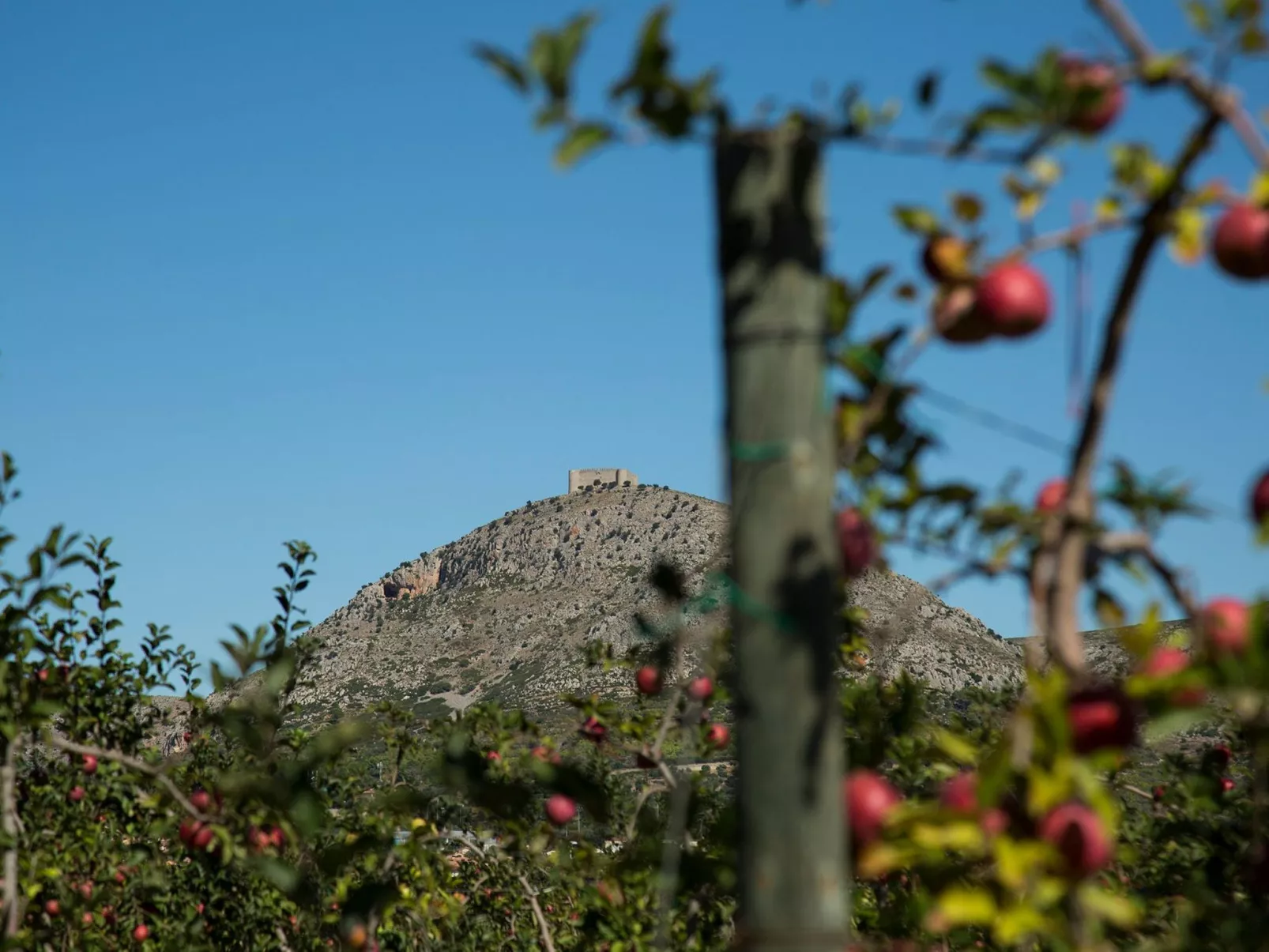 Casa Fluvià mit Gemeinschaftspool