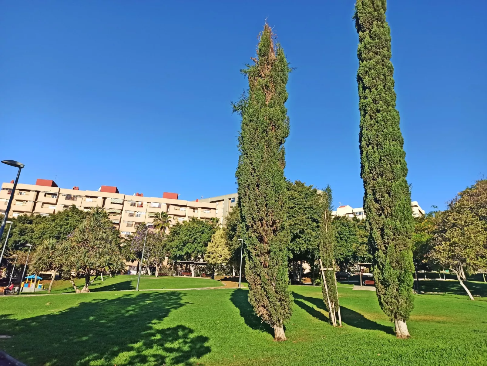 City Loft Santa Cruz