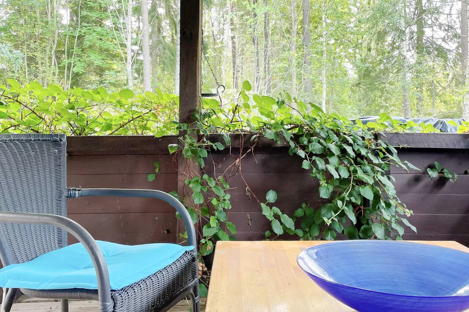 4 persoons vakantie huis in RIMBO-By Traum-Buitenlucht
