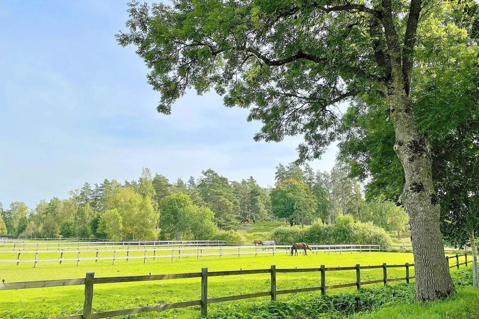 4 persoons vakantie huis in RIMBO-By Traum-Niet-getagd