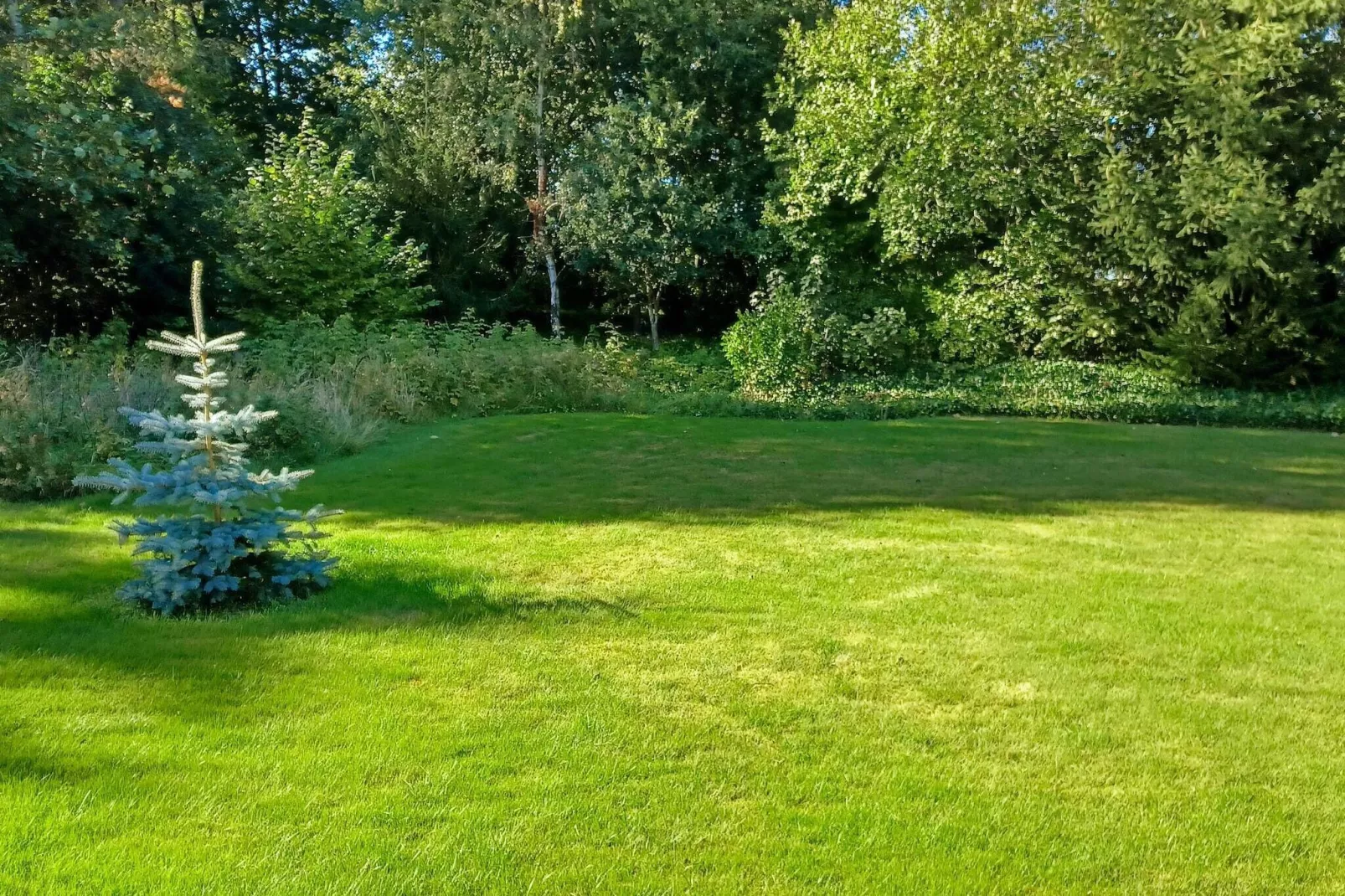 6 persoons vakantie huis in Farsø-Buitenlucht