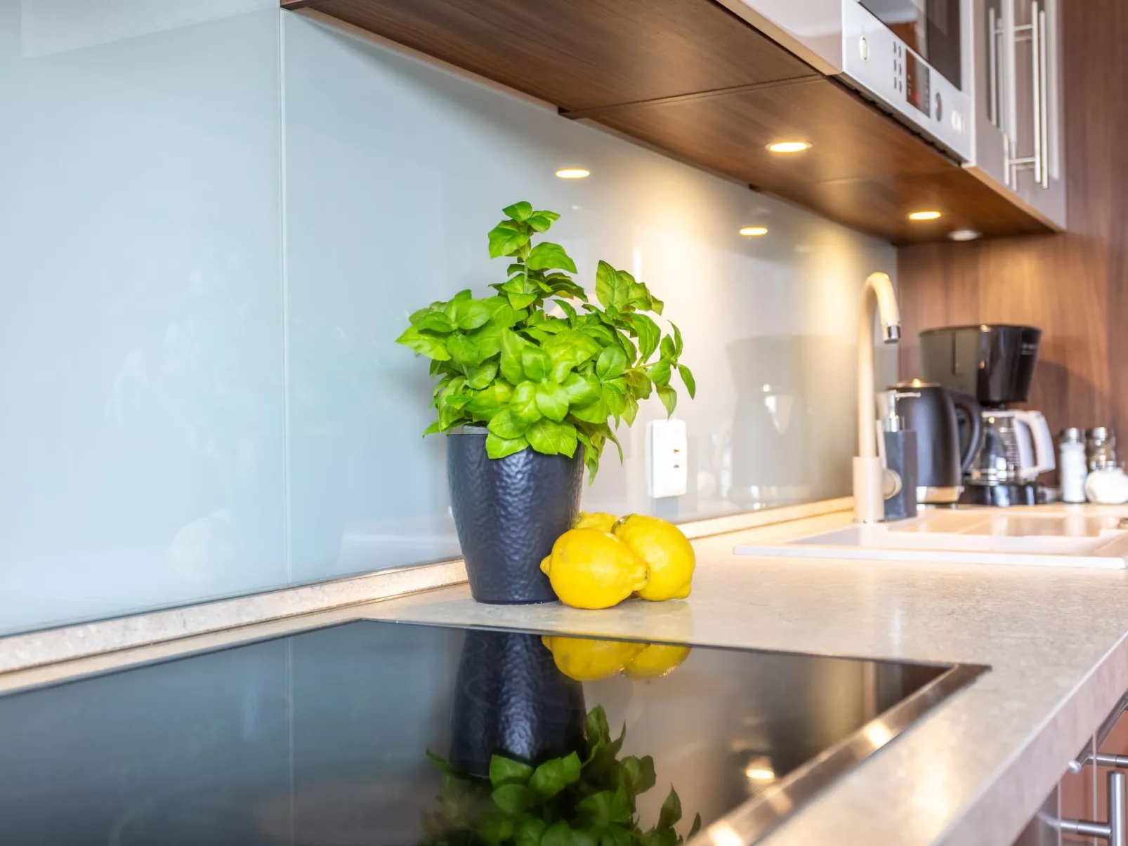 Am Meer, Urlaub auf der Insel Usedom, Apartment Calypso-Image-tags.info