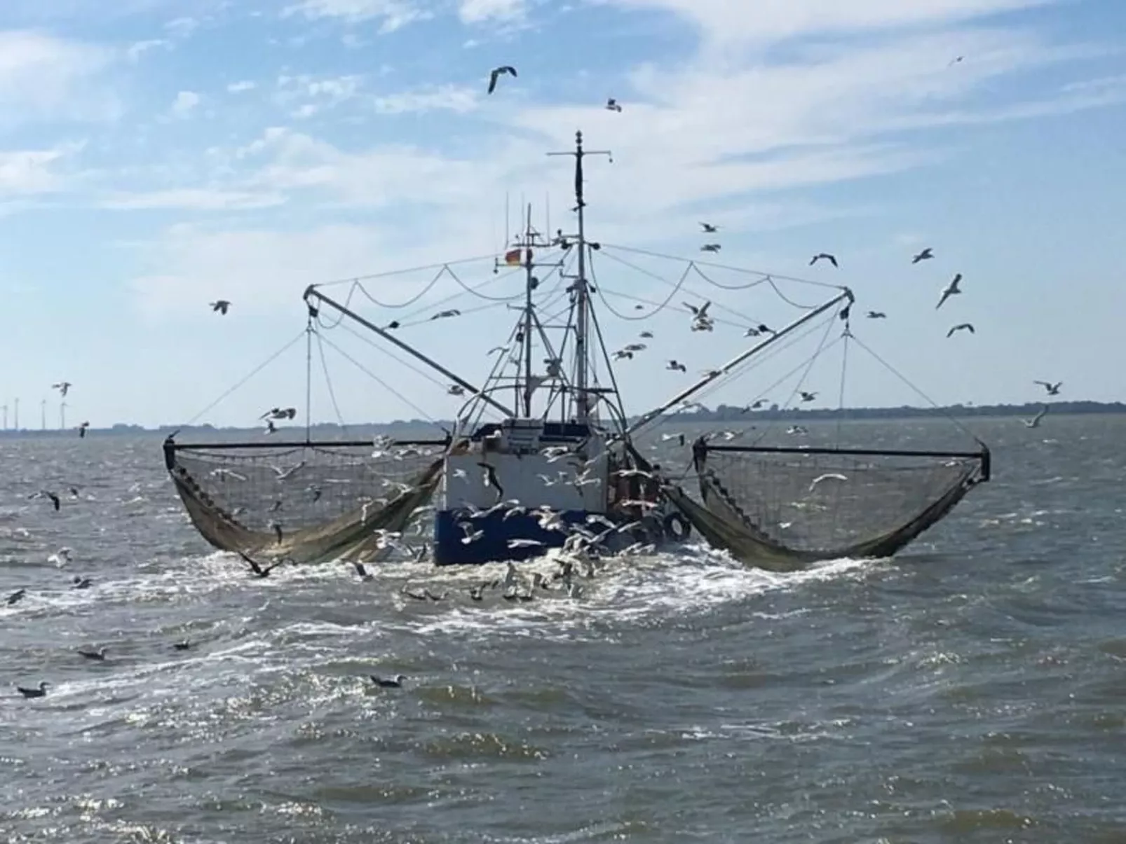 Deichhof Tossens-Binnen