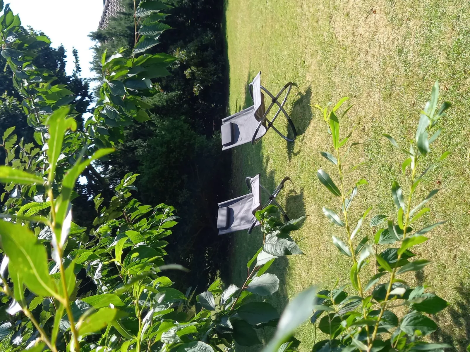 Deichhuus - ruhig am Feldrand in Sackgassenlage-Buiten