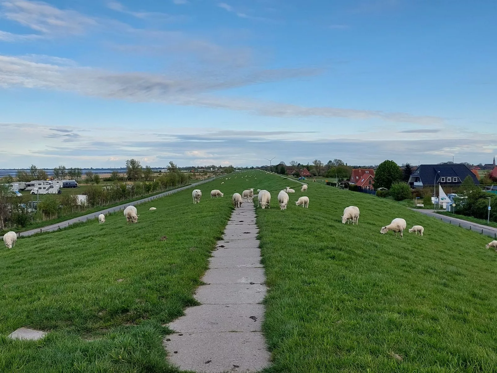 Kajüte in Fedderwardersiel-Binnen