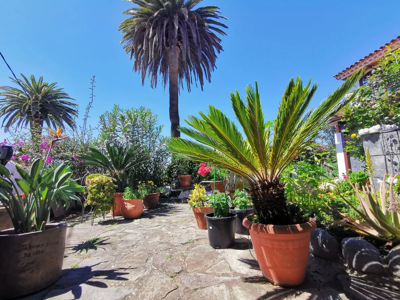 Renovierte Finca Paradies mit privatem Pool-Buiten