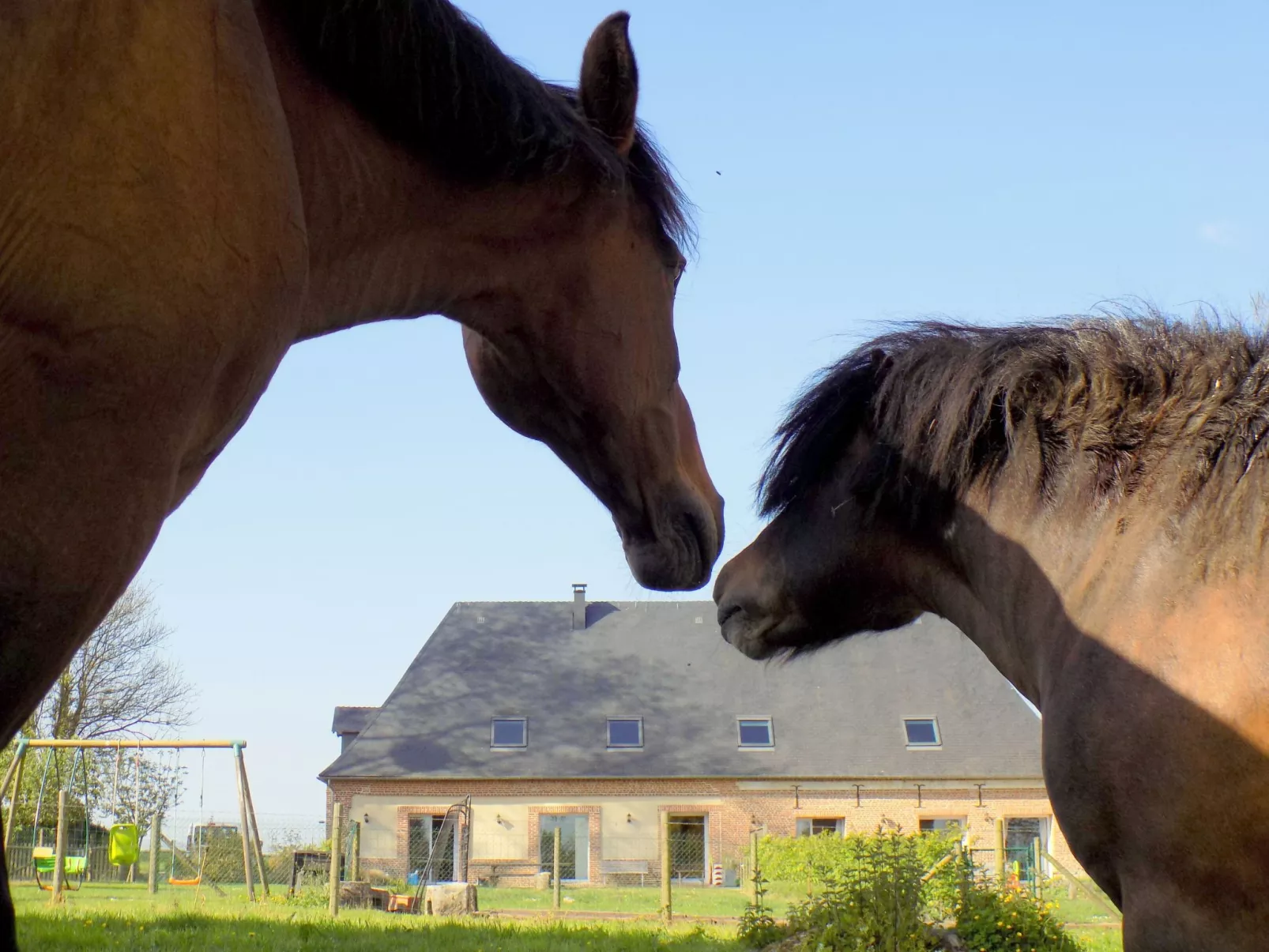 Für 8 Personen-Buiten