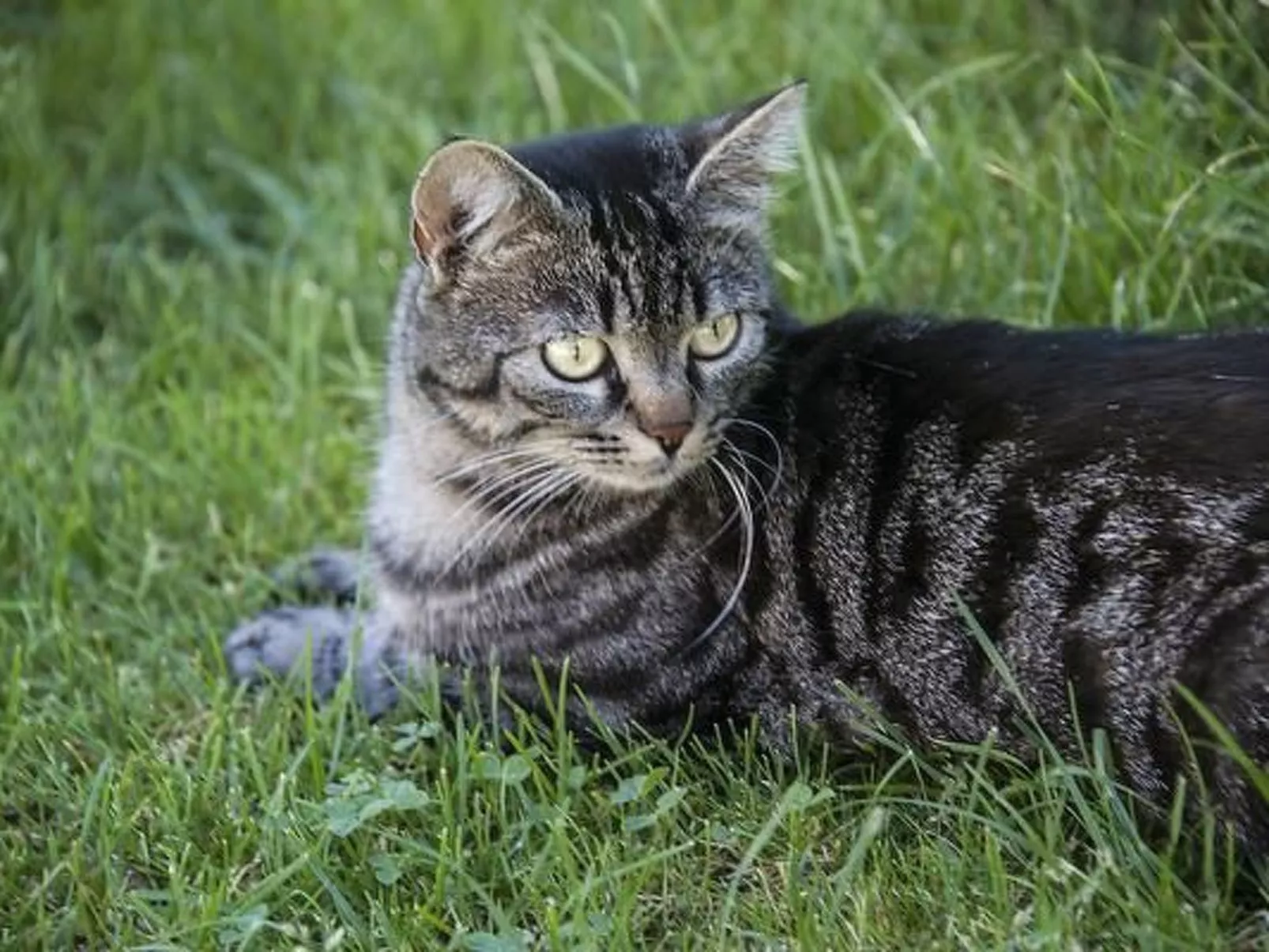 Berghof Hallau kleine Ferienwohnung-Binnen