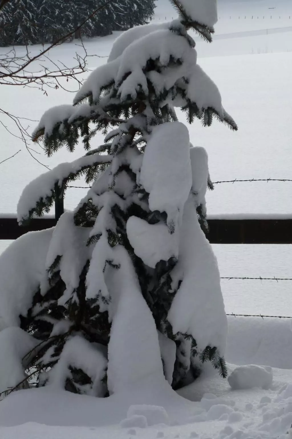 Chalet Désir, Lajoux-Buiten