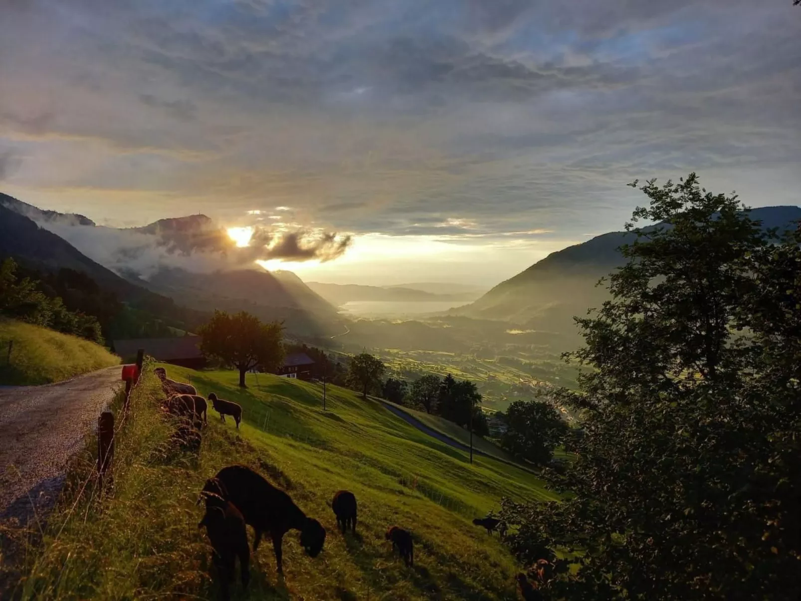 Biohof Langberg-Buiten