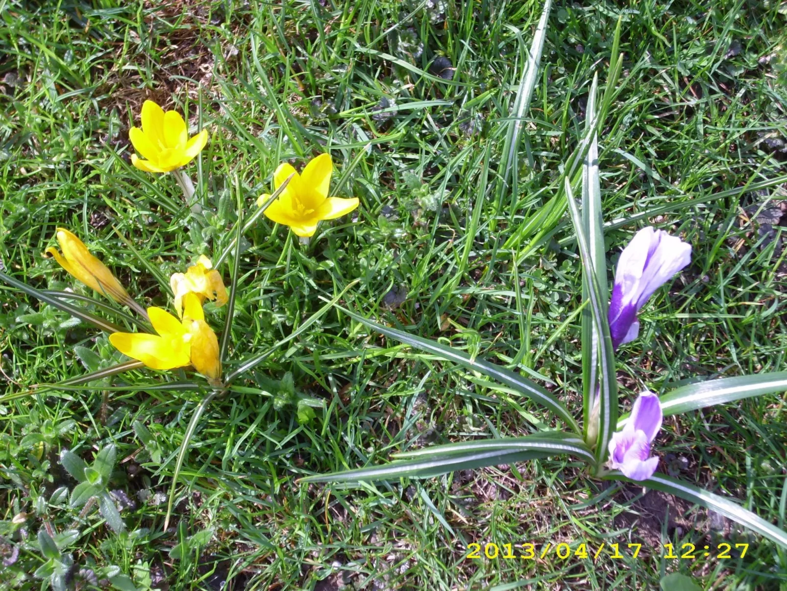 Wohnung in Oberwaldbach mit Garten und Grill-Binnen