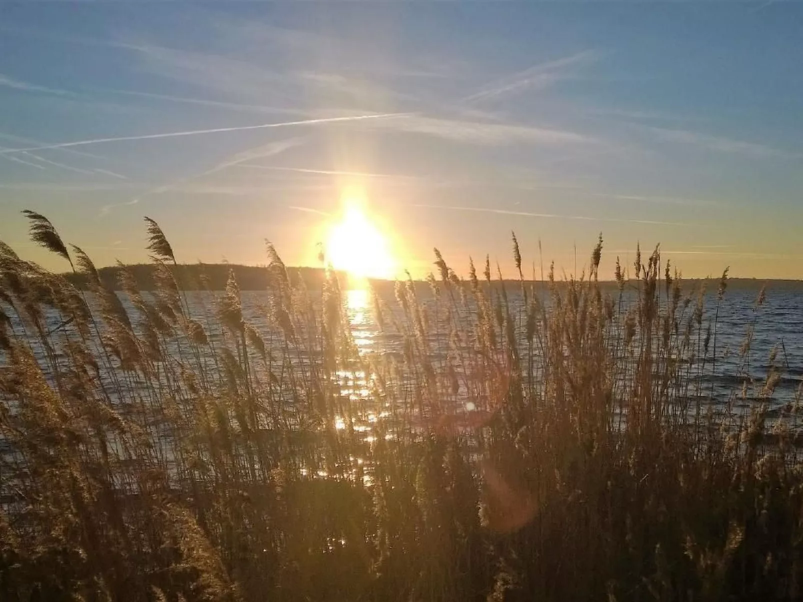 Seehaus Arielle mit Wassergrundstück-Binnen