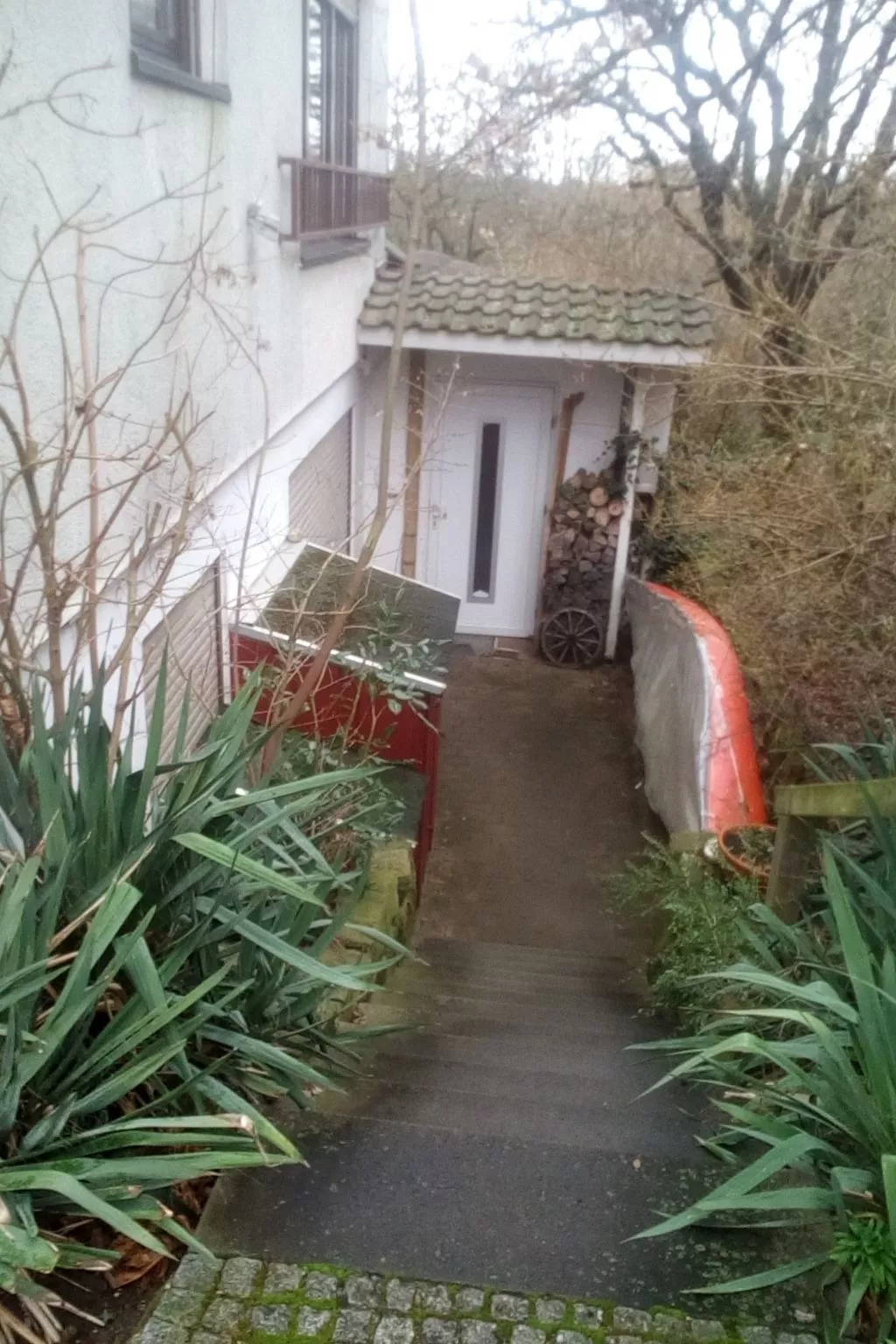 Urlaub am Feigenbaum in Nußloch-Image-tags.info