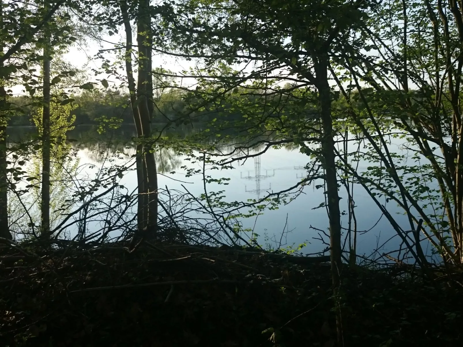 Apartment Laurence-Binnen