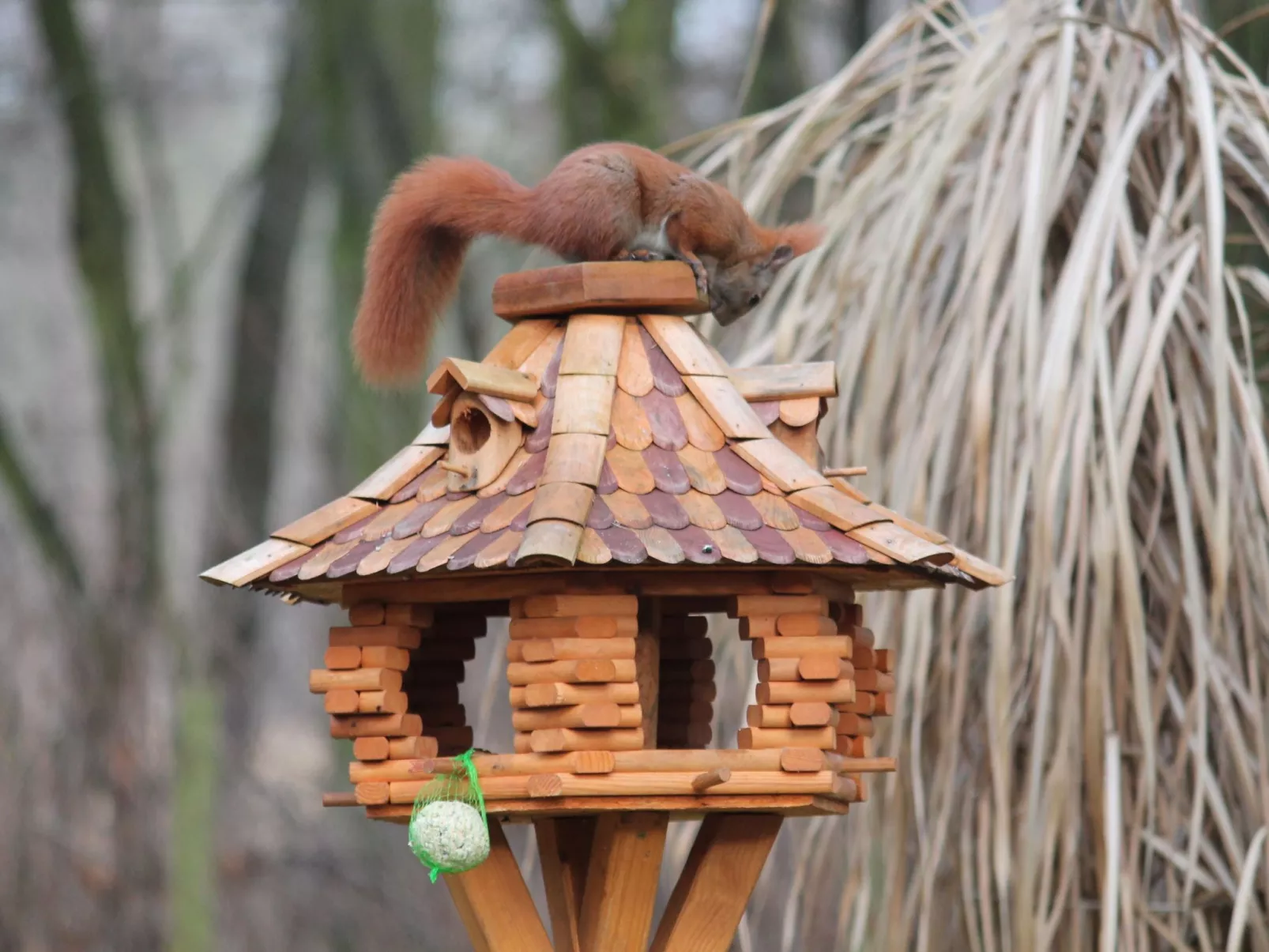 Bungalow Waldidyll-Binnen