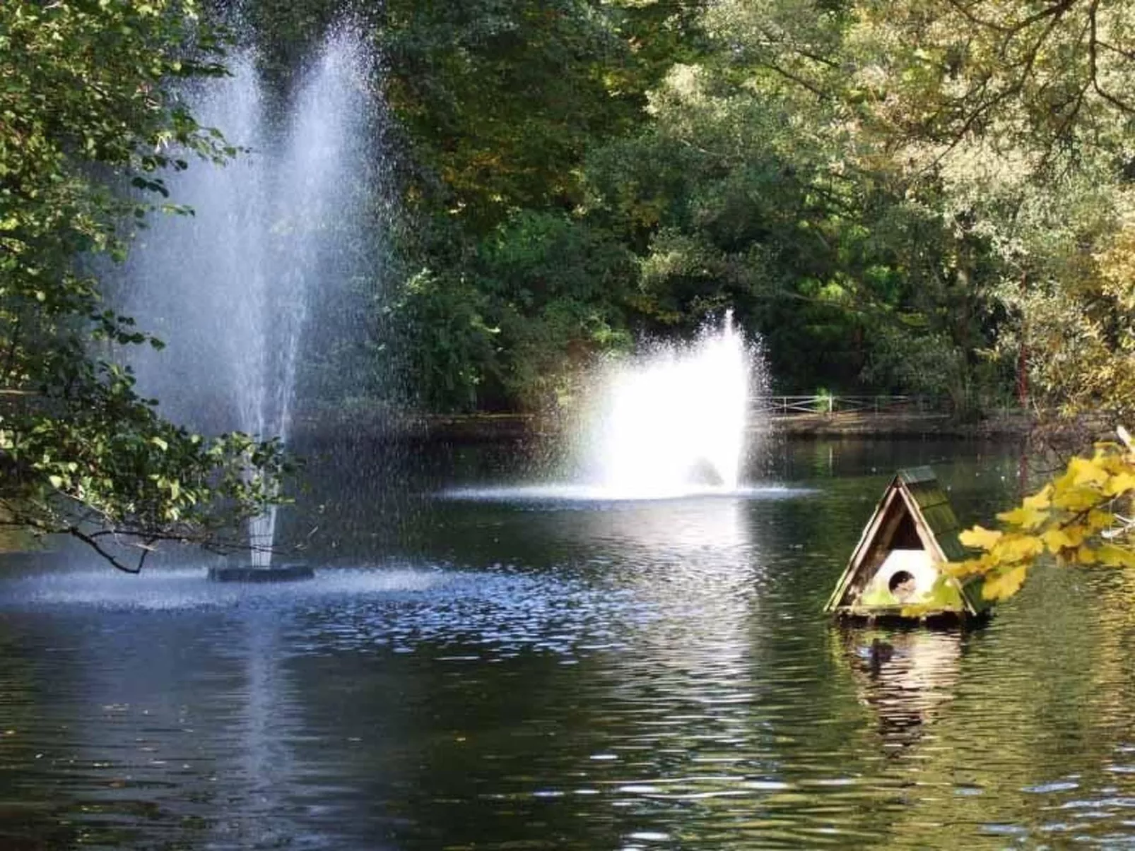 Mayer in Oberkirch-Binnen