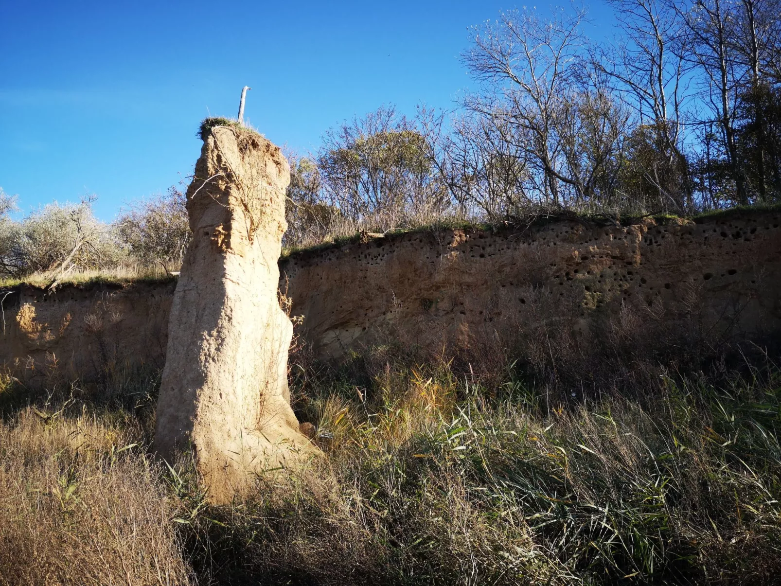 FH Salzhaff-Urlaub-Binnen