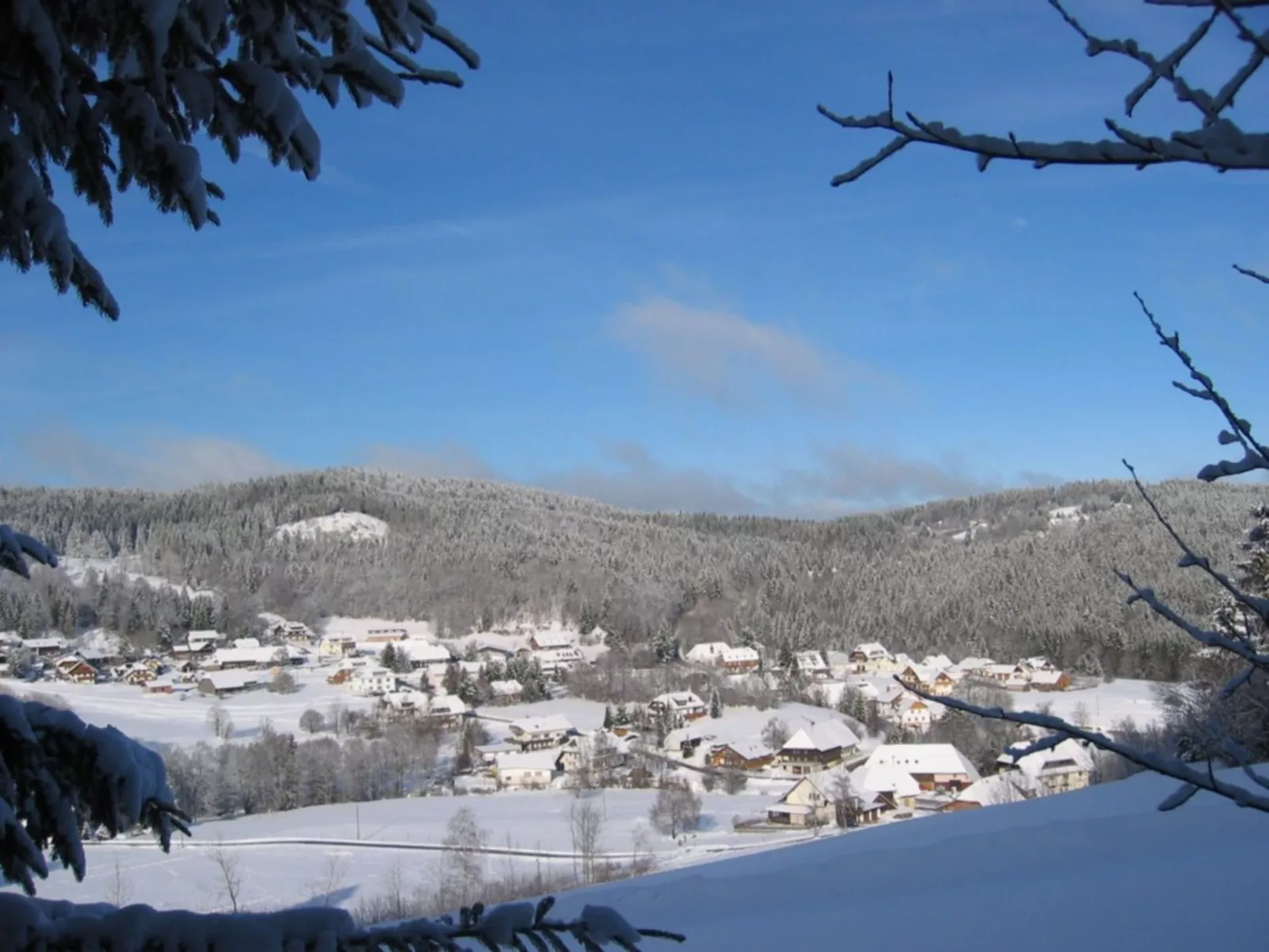 Appartement in Wittenschwand-Binnen
