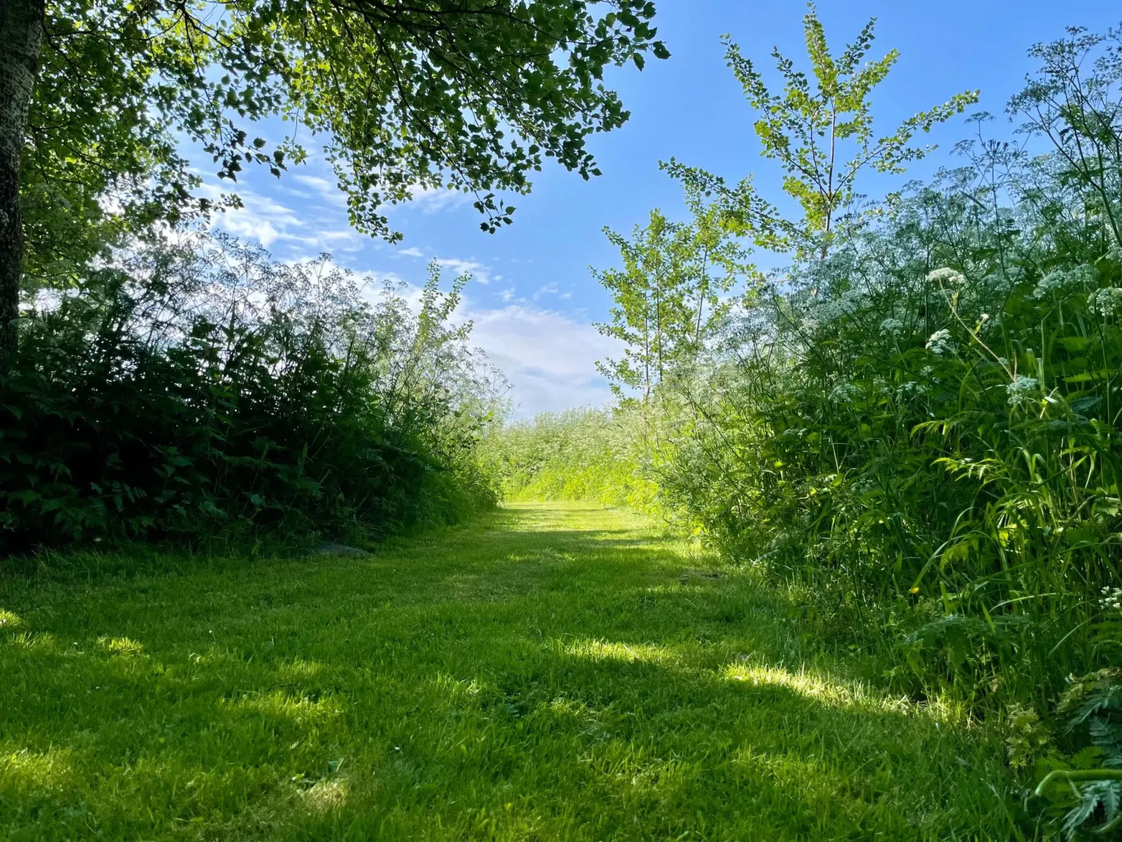 Reetdachhaus für erholsamen Familienurlaub-Binnen