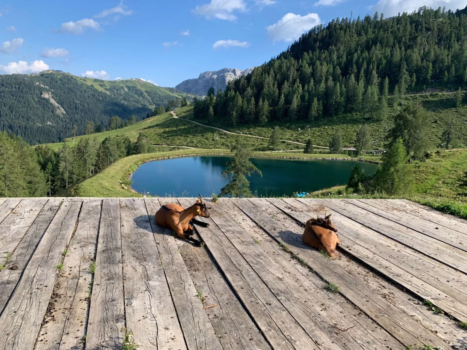 In Gemeinde Hermagor-Pressegger See mit Terrasse, Grill und Garten-Image-tags.info