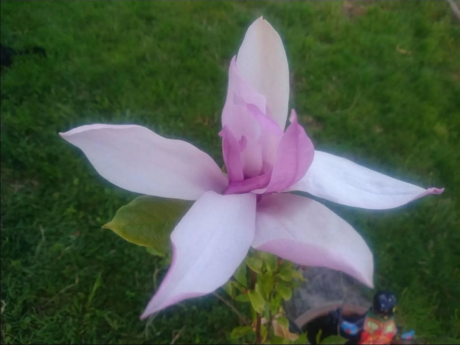 Wellness Oase-Image-tags.info