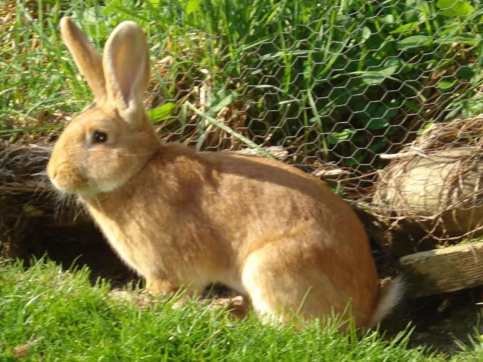 Burehof Waltrigen-Image-tags.info