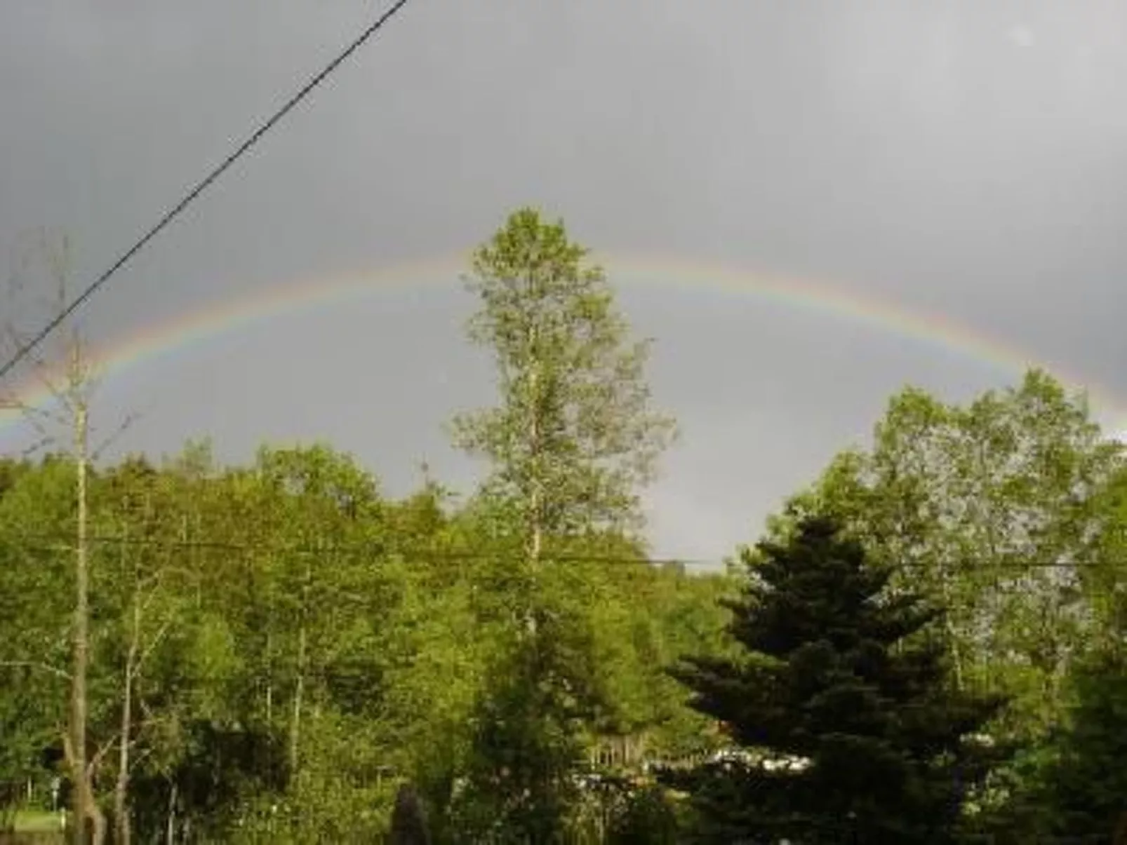 Marco in Eppenschlag-Buiten