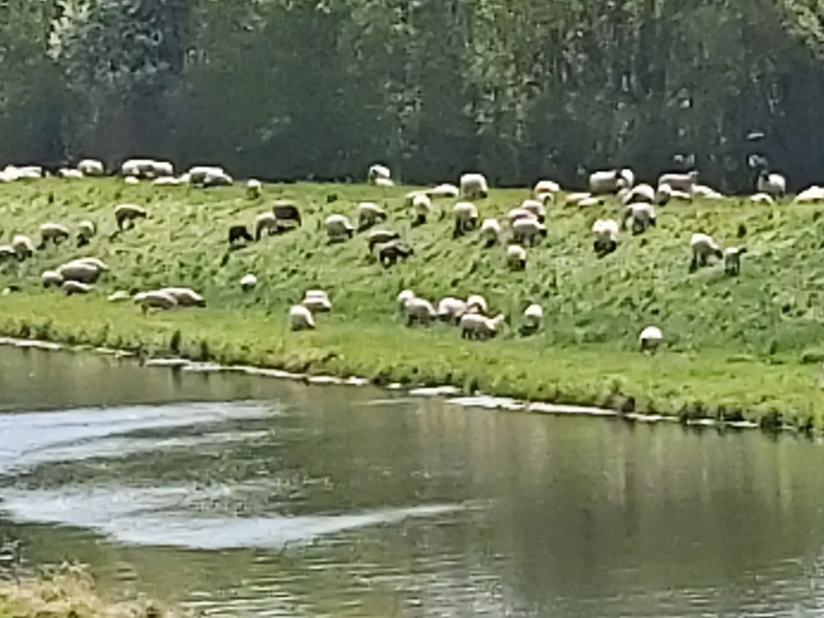 Wohnung in Jameln mit Garten, Grill und Terrasse-Binnen