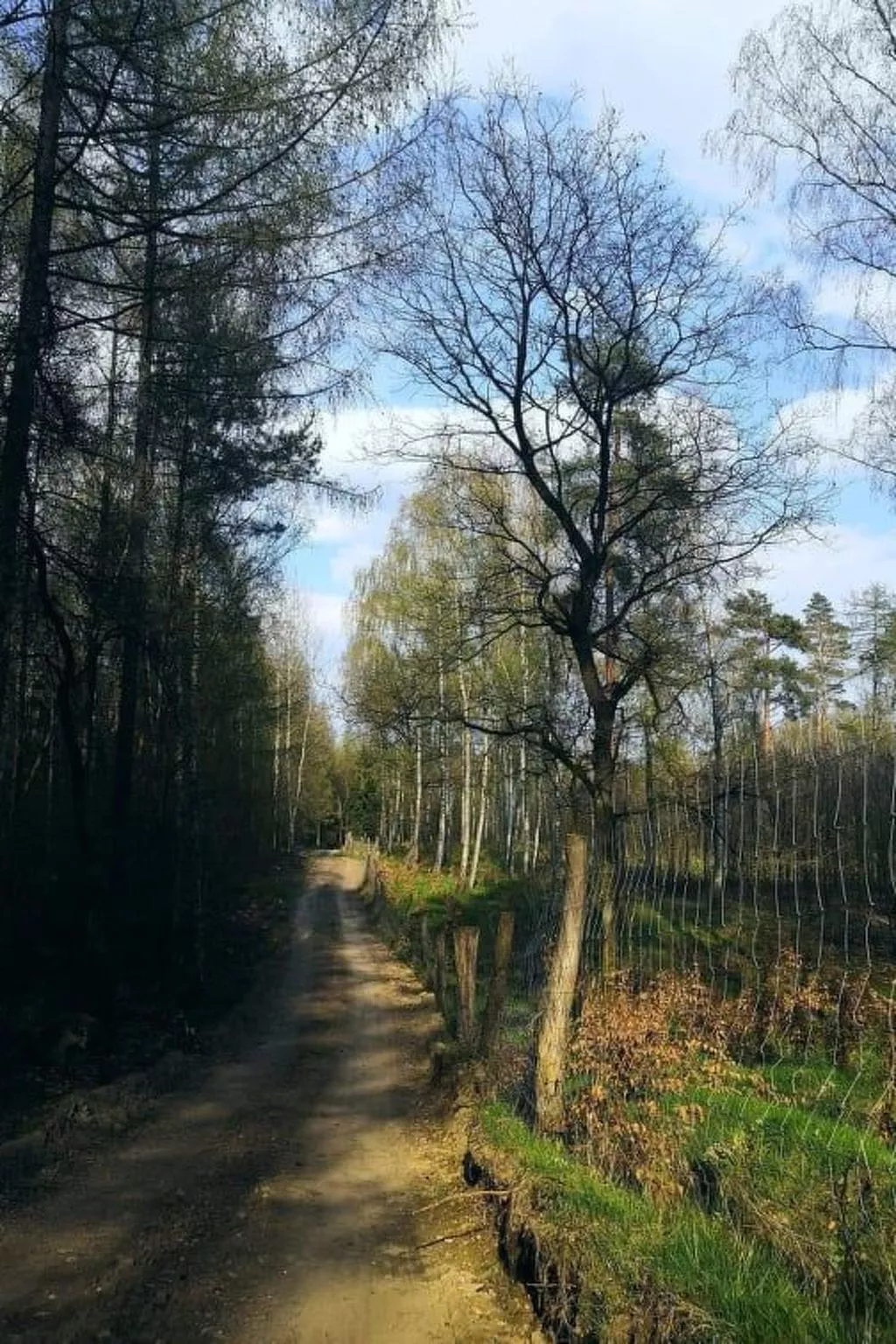 "Ferienhaus GolczaVita"-Image-tags.info