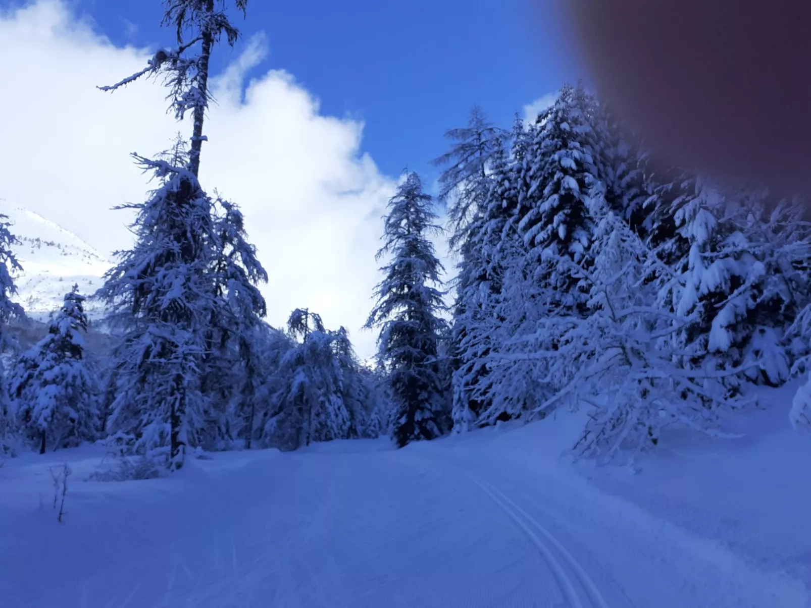 Urlaub in den Bergen-Buiten