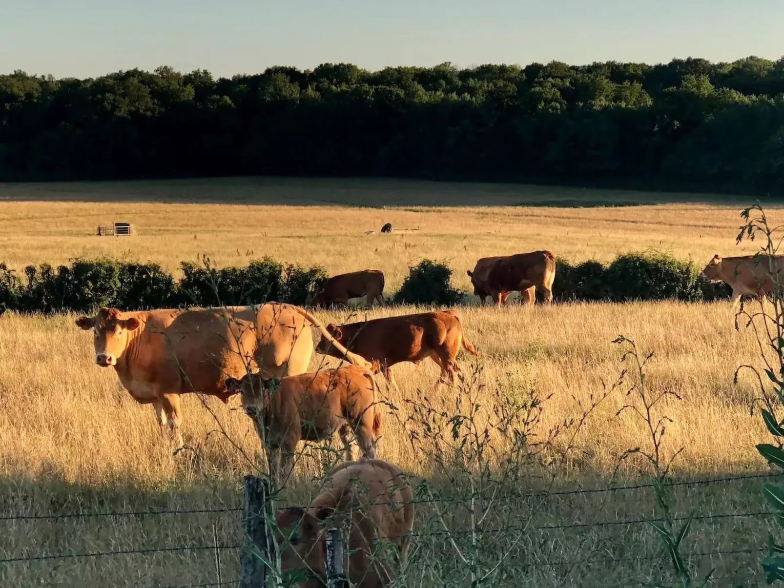 Landhaus mit eingezäuntem Garten-Binnen