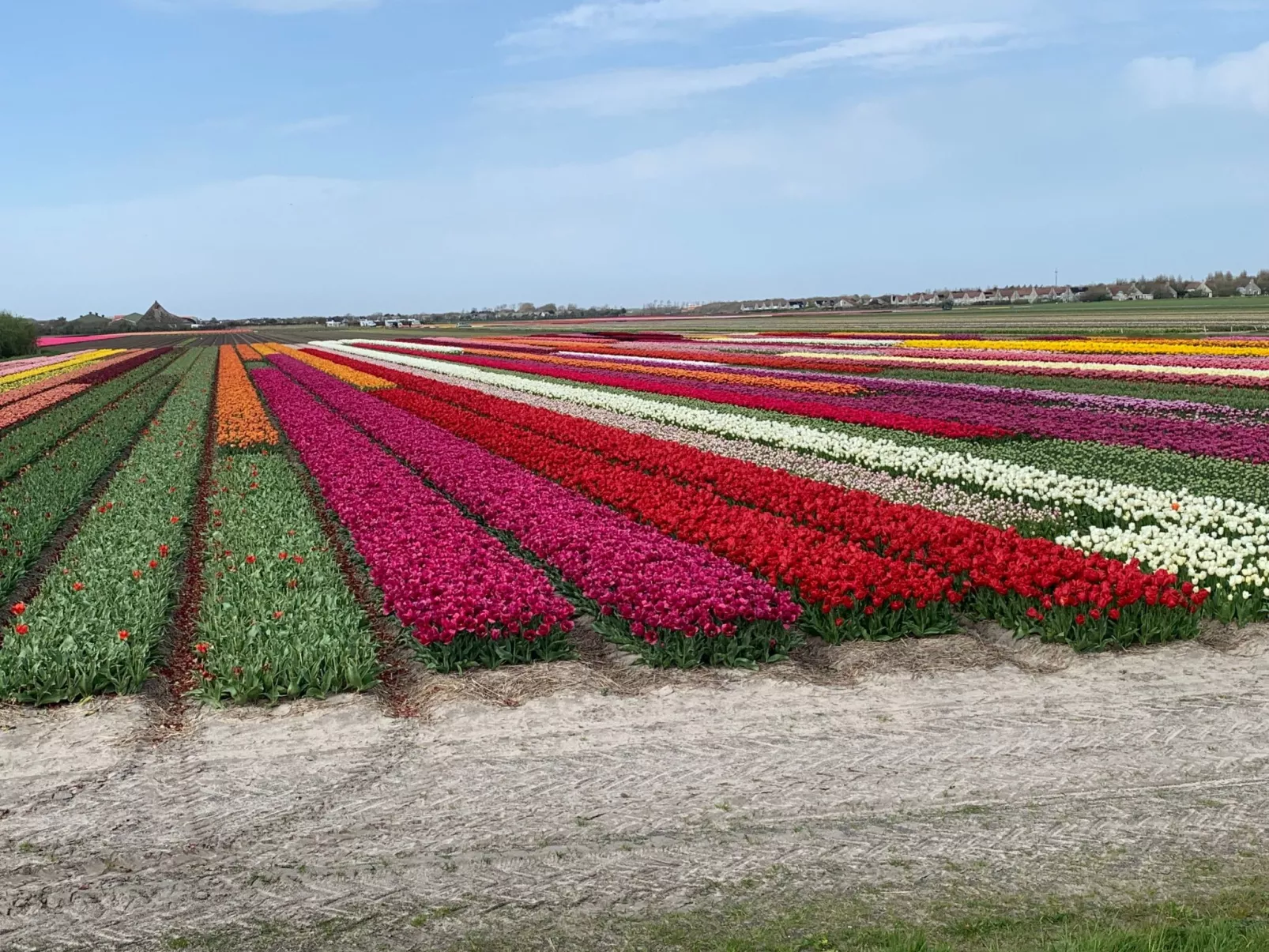 Strandslag 233-Binnen
