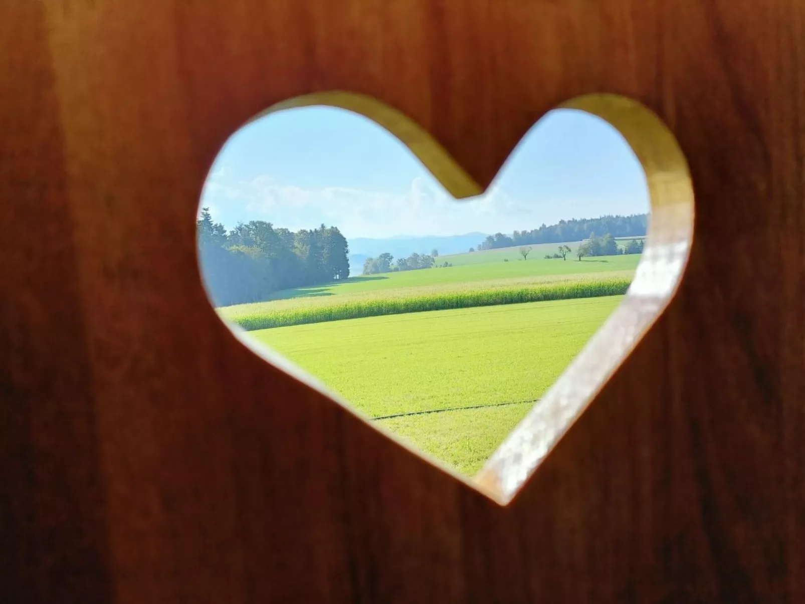 Zirkuswagen vom Sommerhof-Buiten