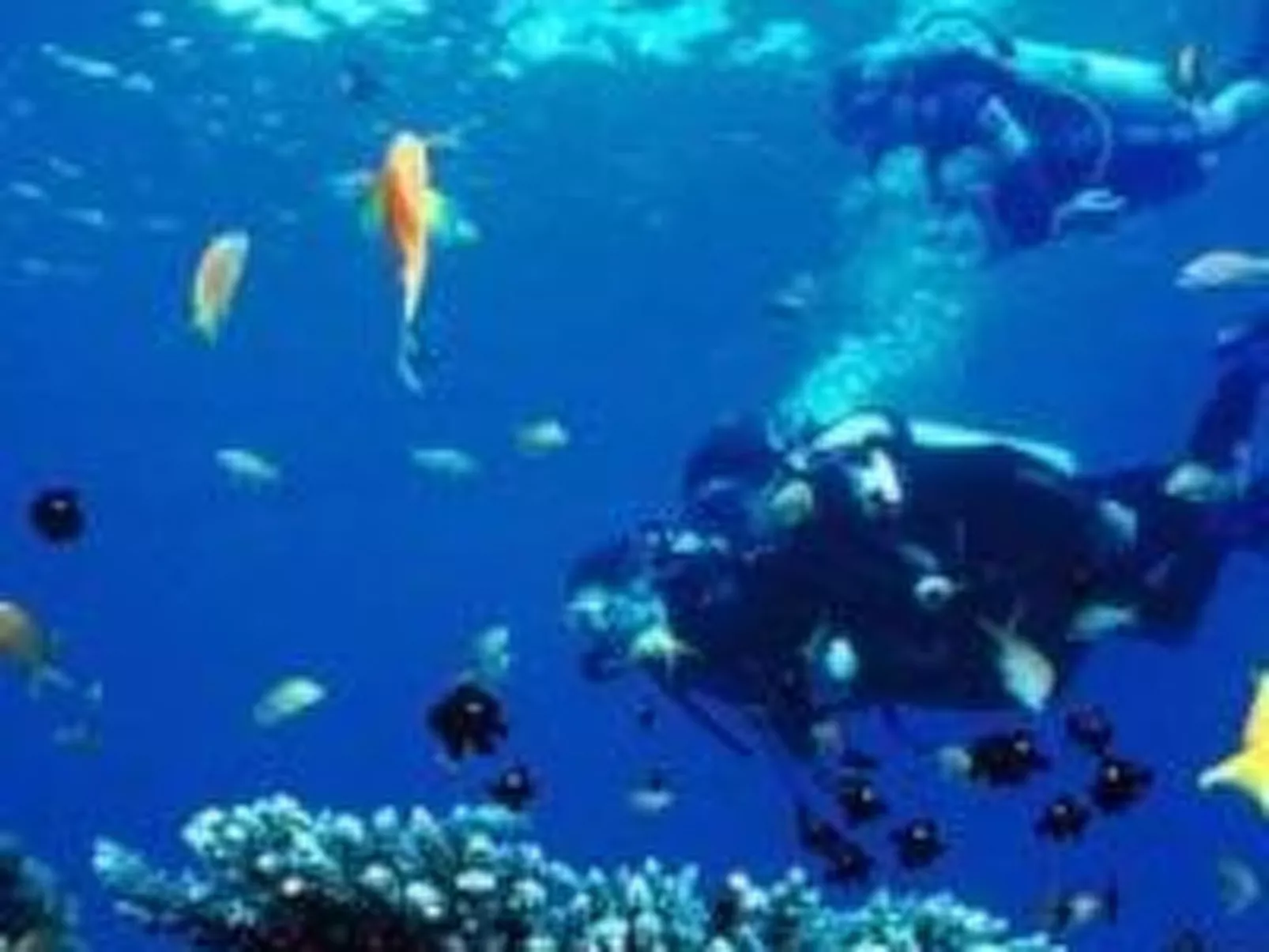 Vinka mit schönem Meerblick-Buiten