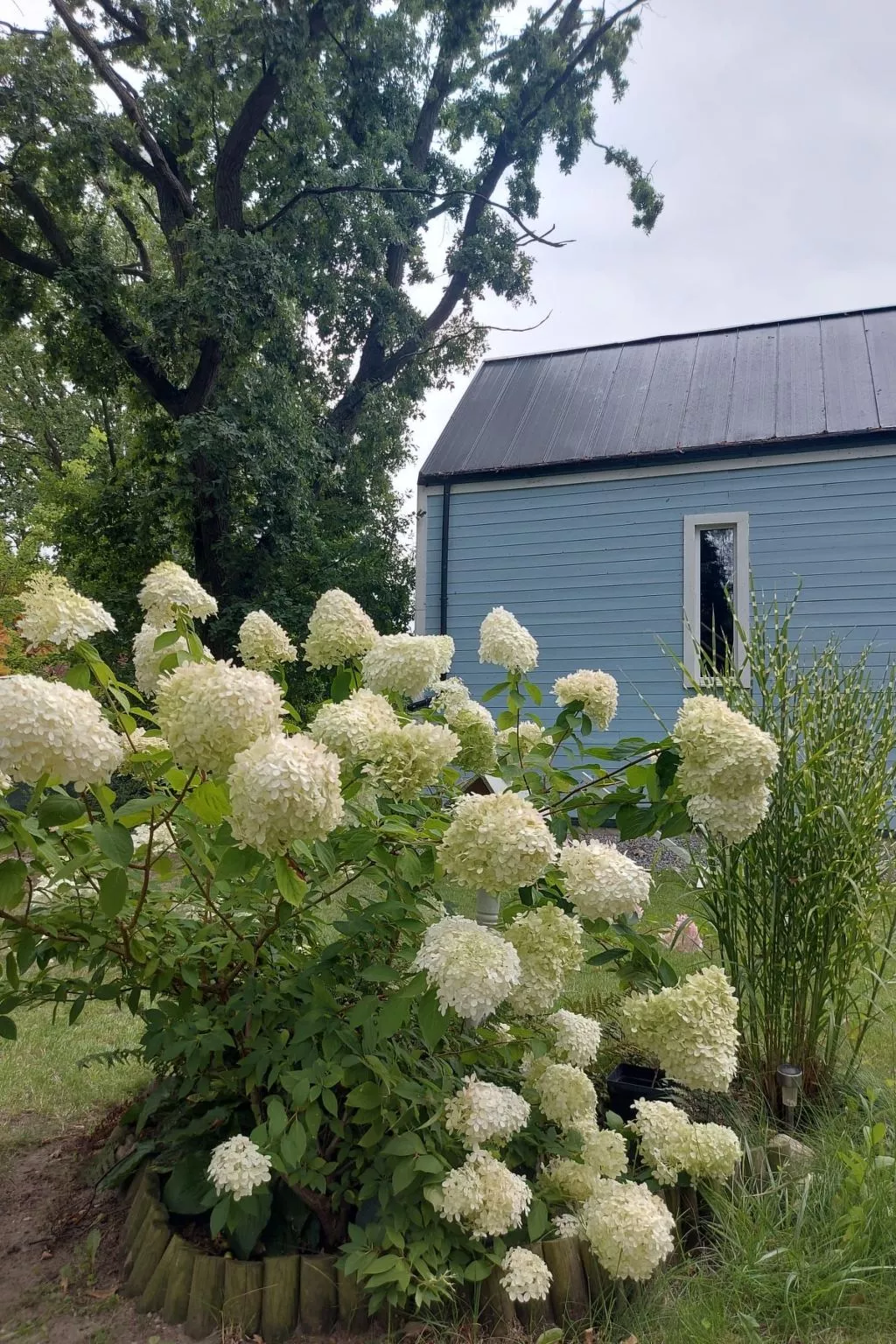 Chakram Nowe Warpno-Binnen