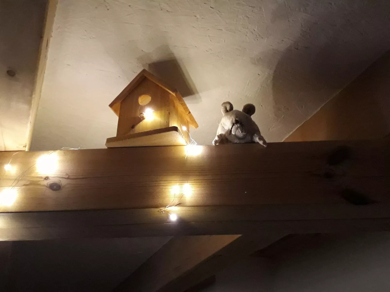 Kapitänskoje an der Wismarbucht-Binnen