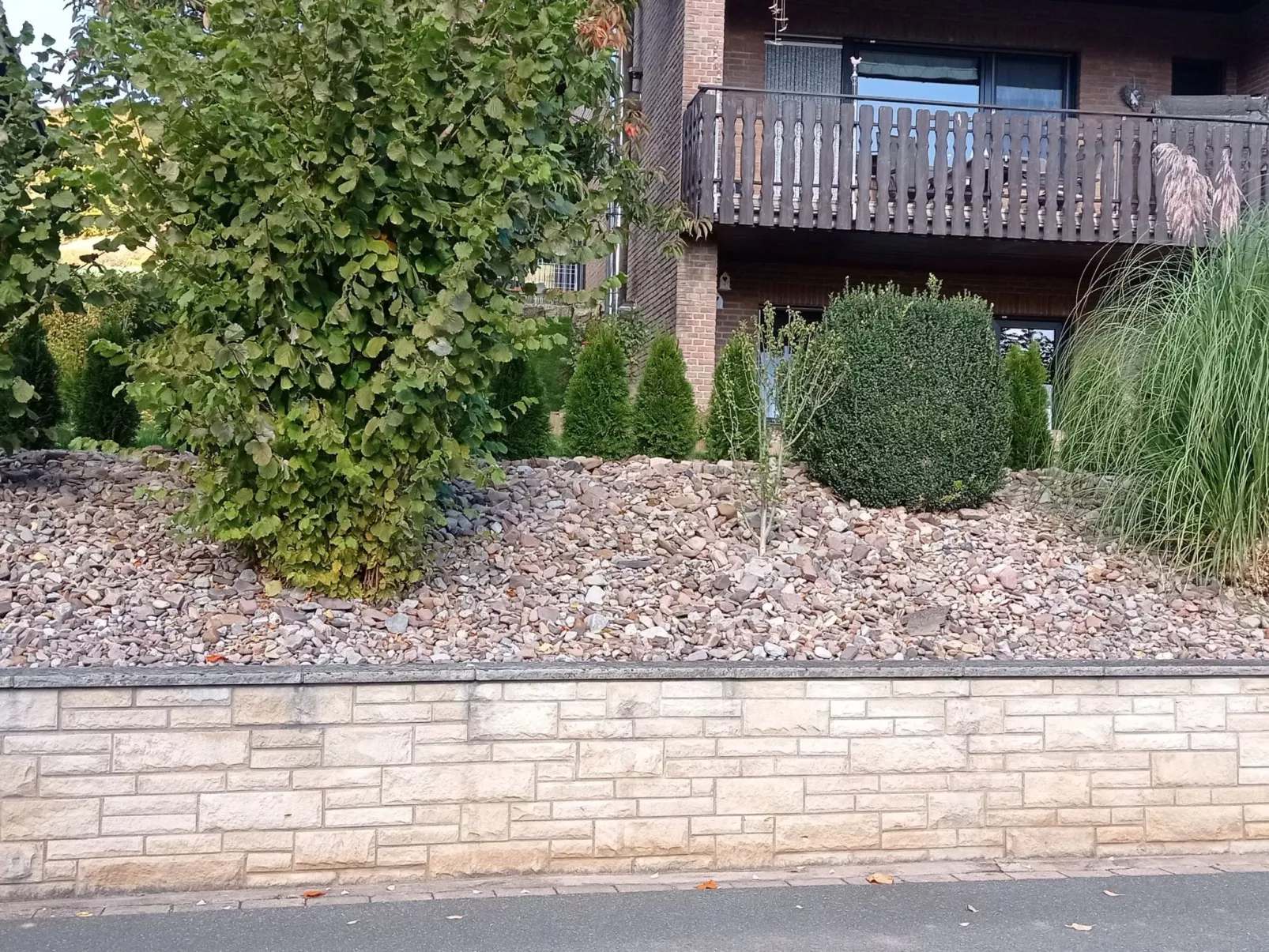 Apartment mit Hund-Binnen