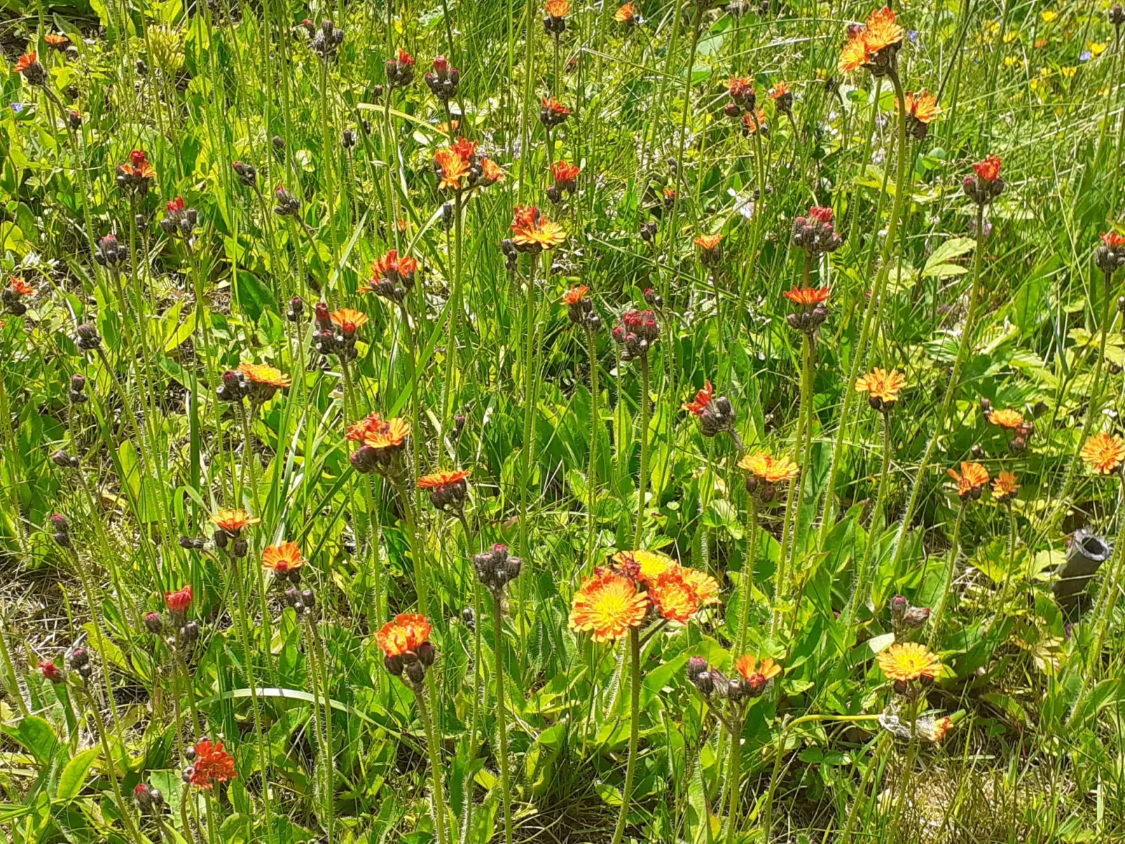 Für 6 Personen im Thüringer Wald-Buiten