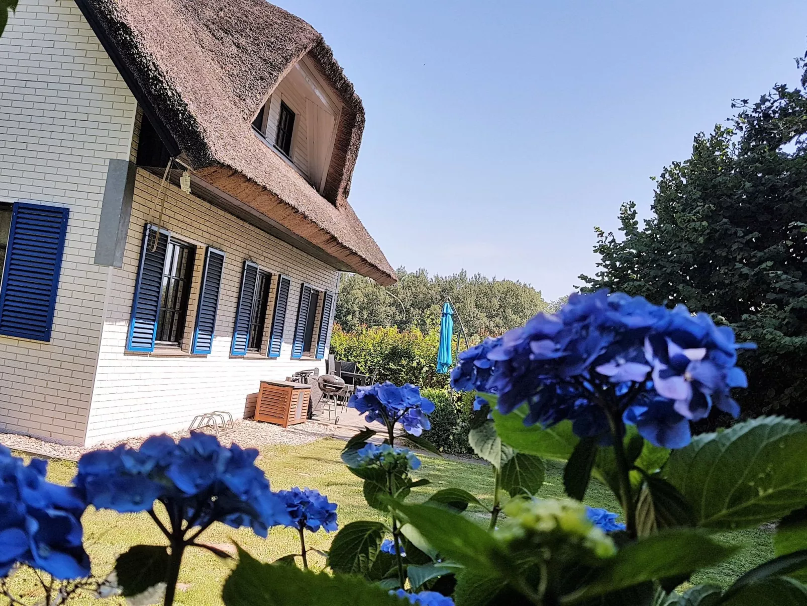 Haus-Zauberblau-Binnen