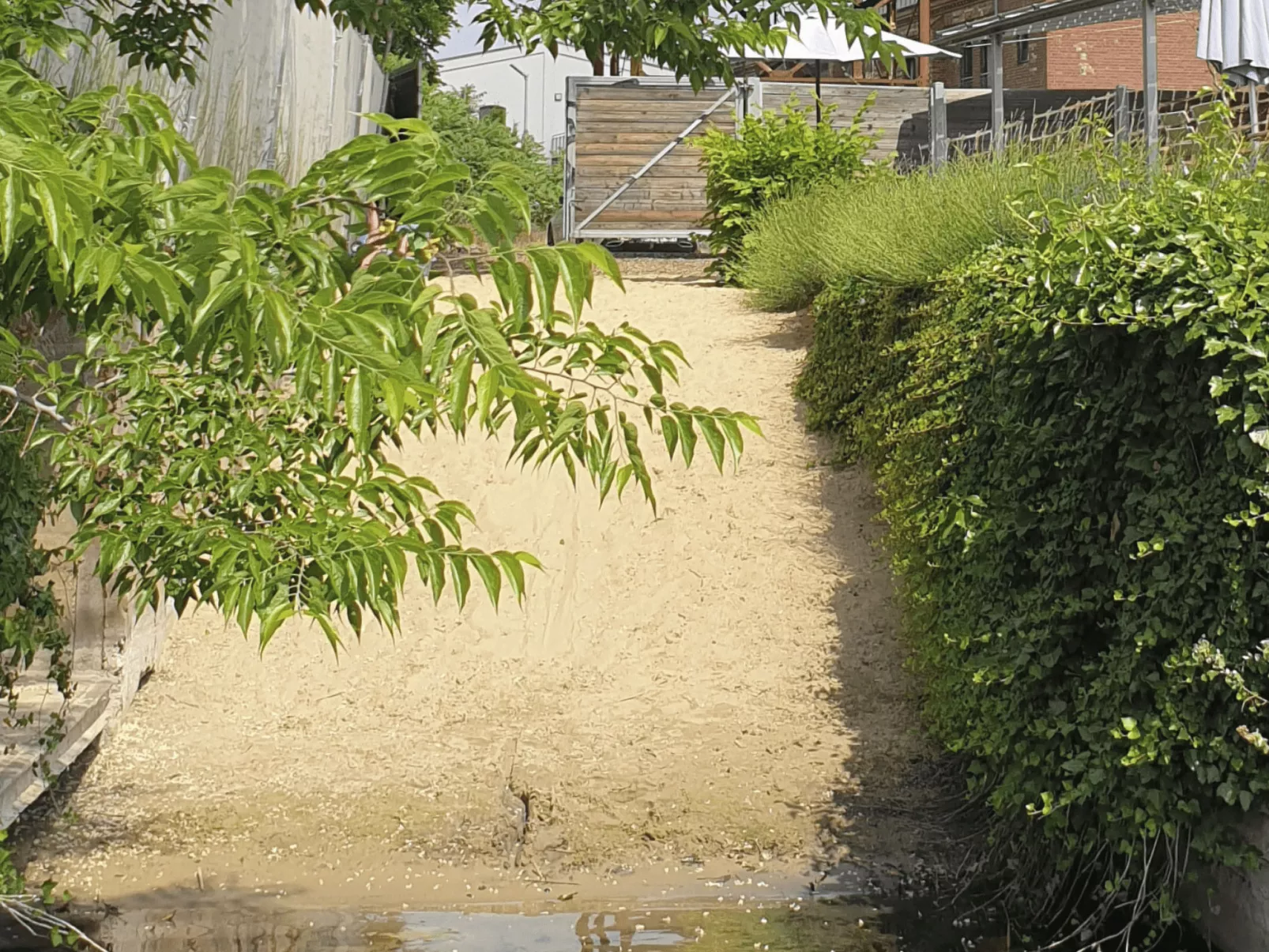 In Strandnähe-Buiten