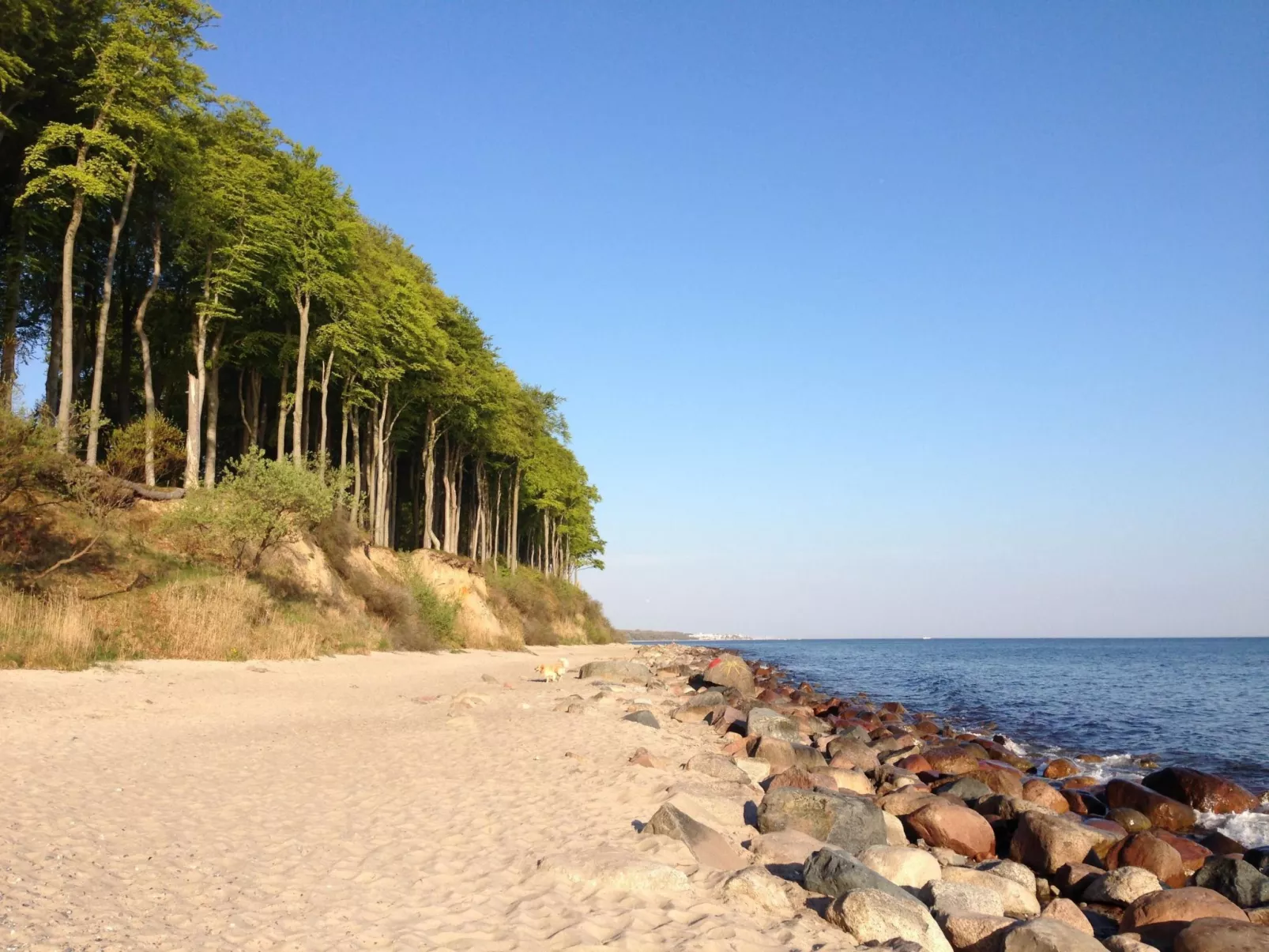 In Strandnähe-Buiten