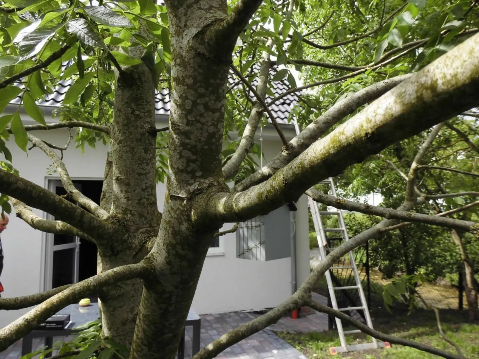 In Landschaftspolder mit Großem Garten-Buiten