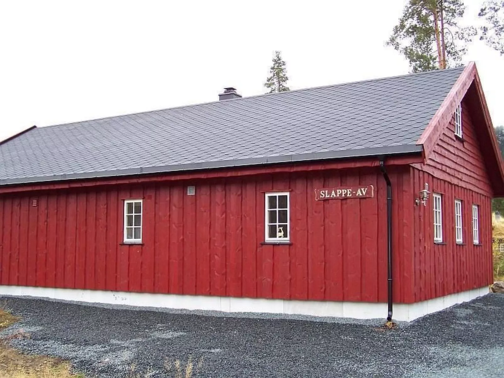 SLAPPE-AV-Image-tags.info