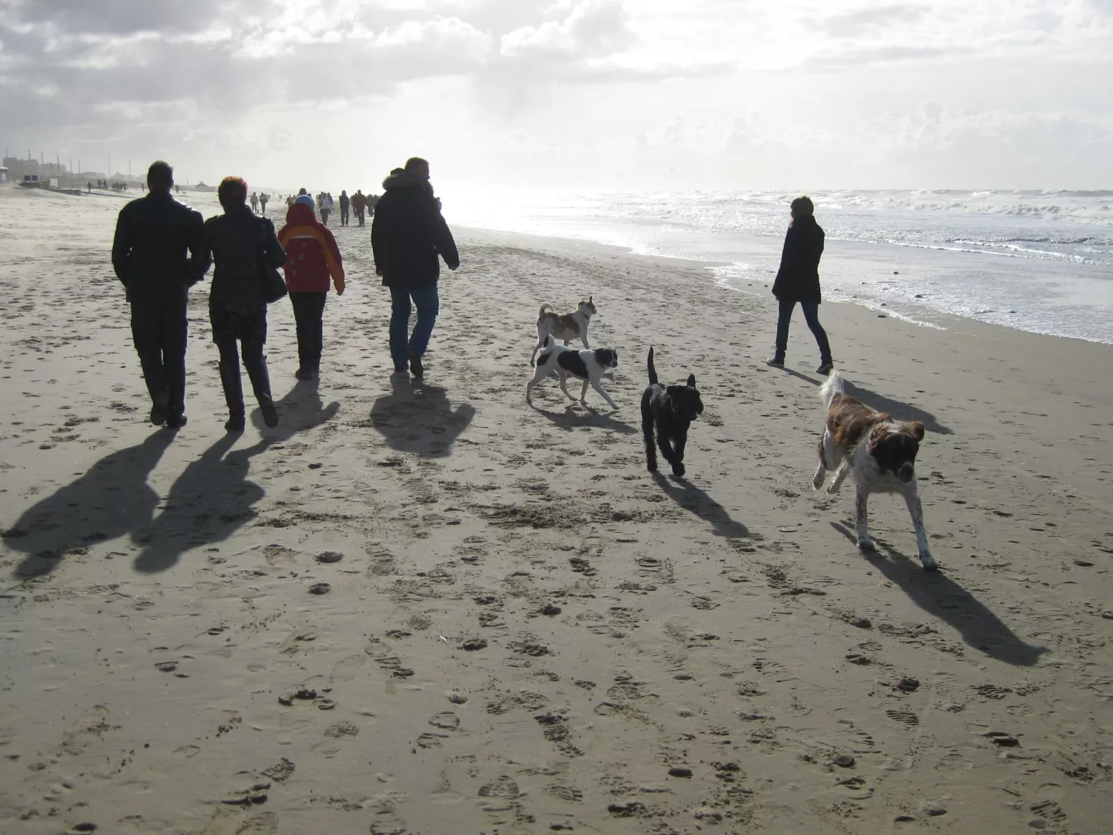 BlueSky - Image-tags.info