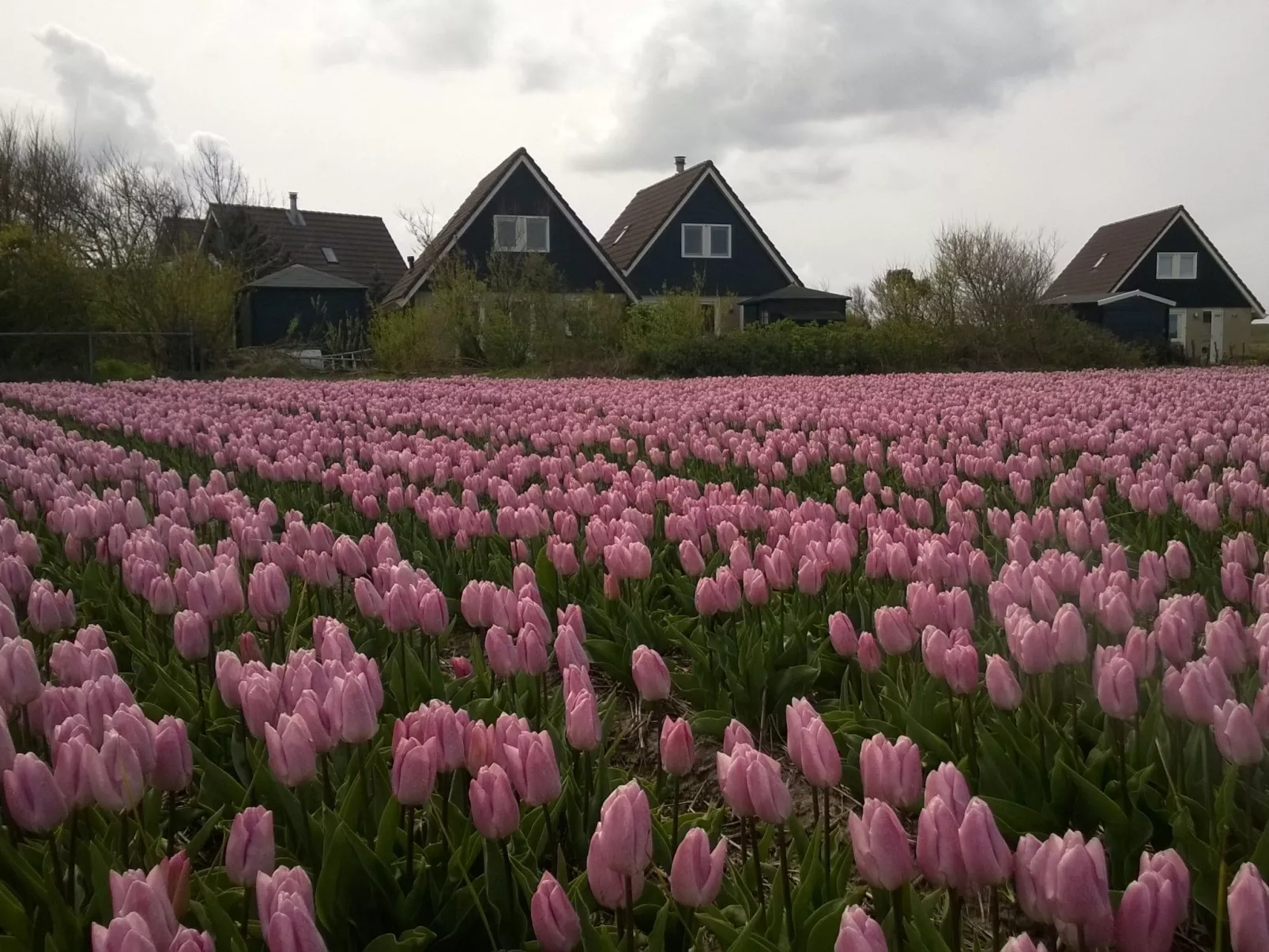 "Casa Juliana" mit privatem Garten-Buiten