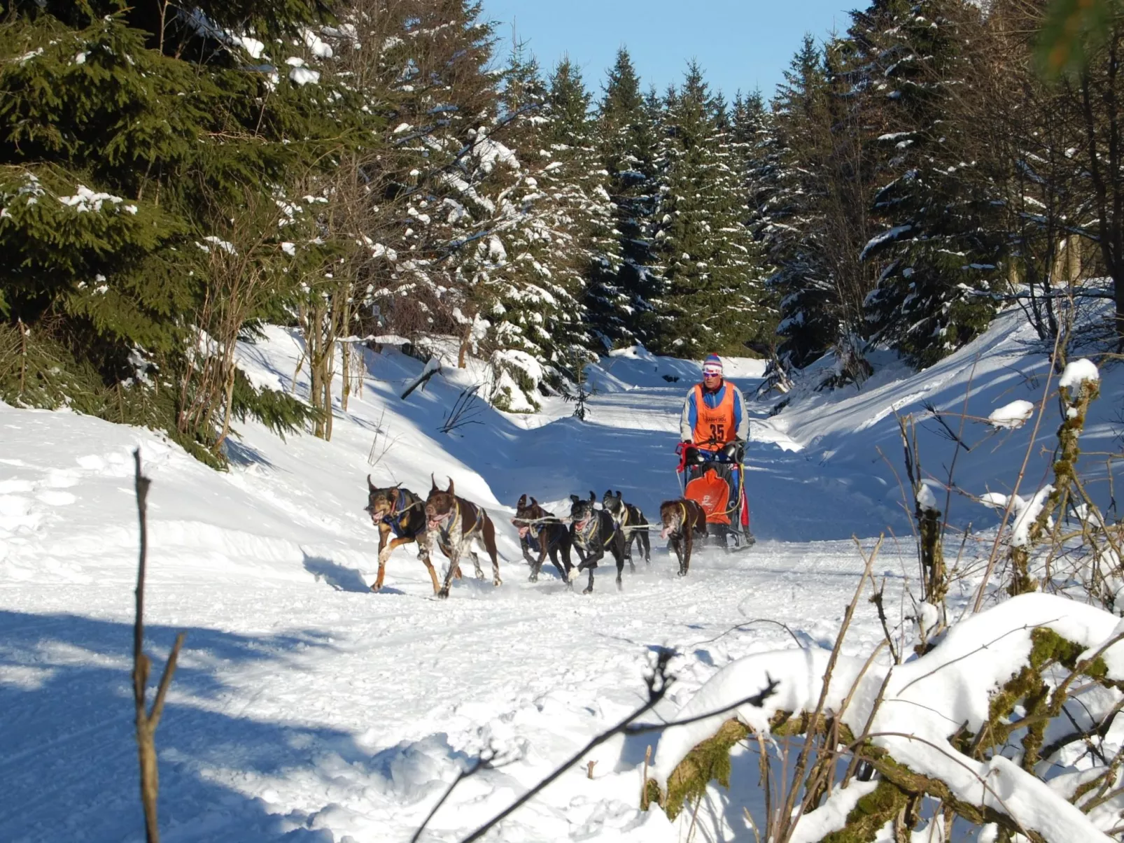 Thüringer Landhaus-Binnen
