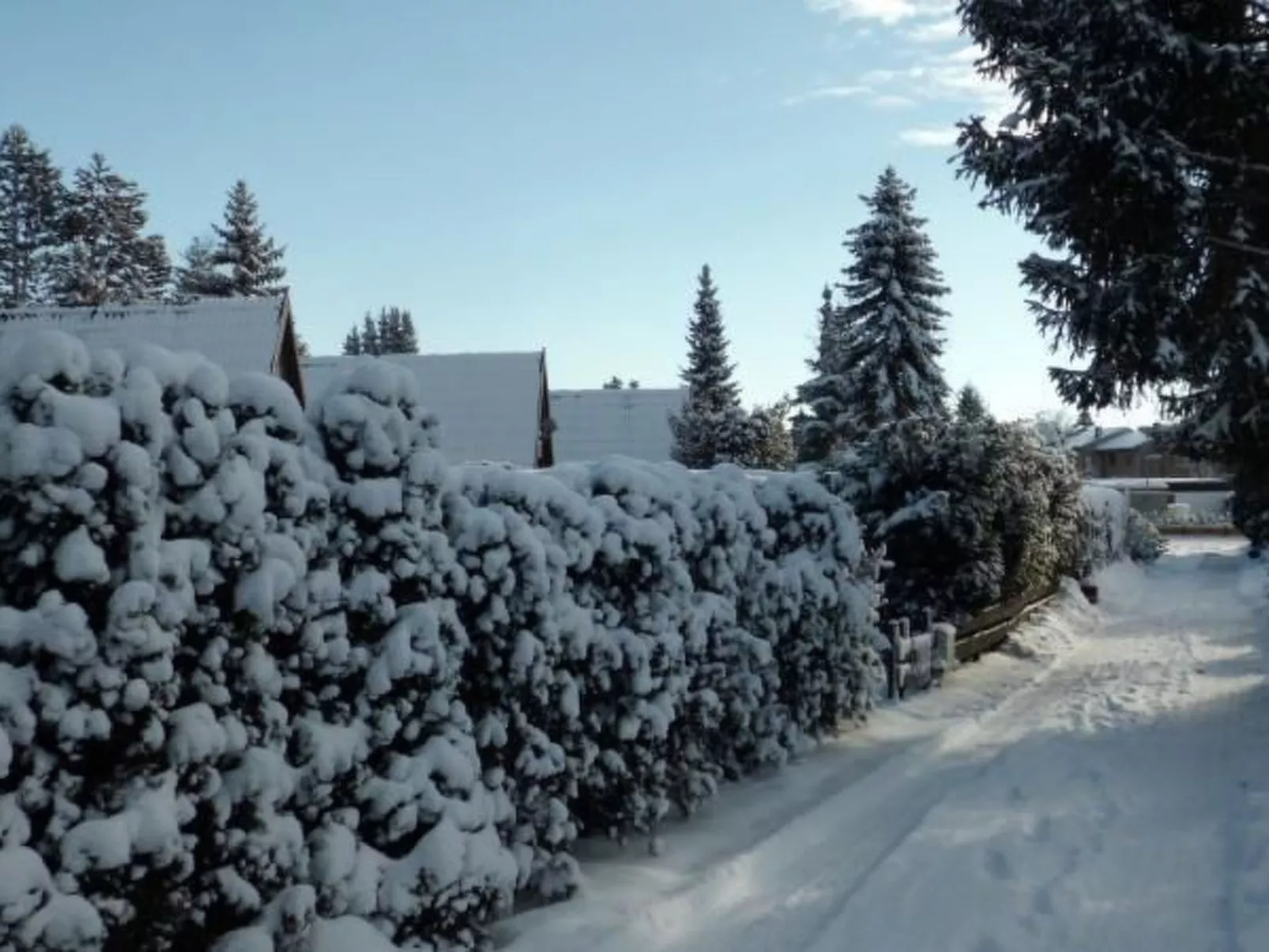 Nur-Dach-Ferienhaus für vier Personen-Binnen