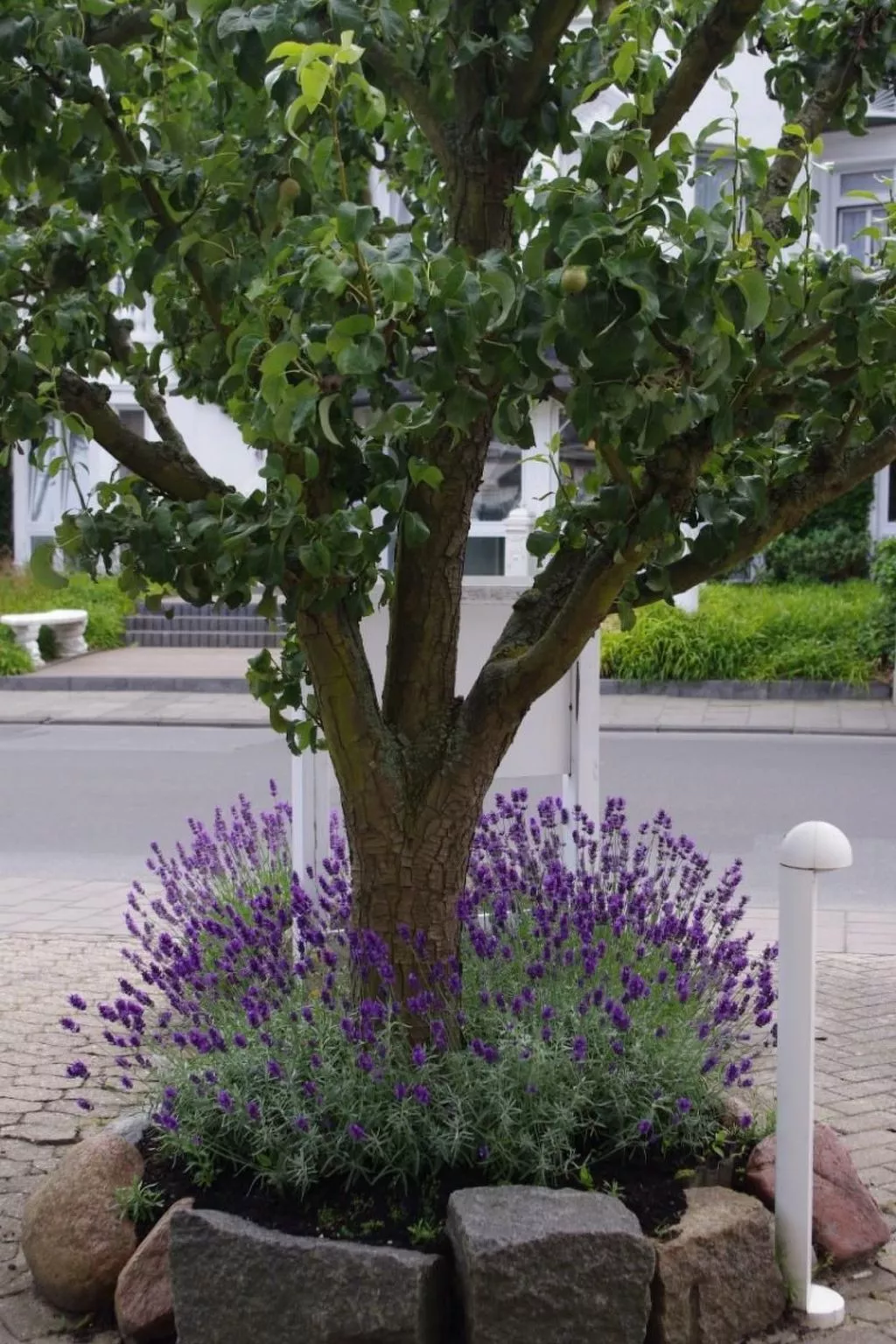 Gästehaus Kopp Wohnung Nr. 03 in Cuxhaven-Duhnen-Buiten